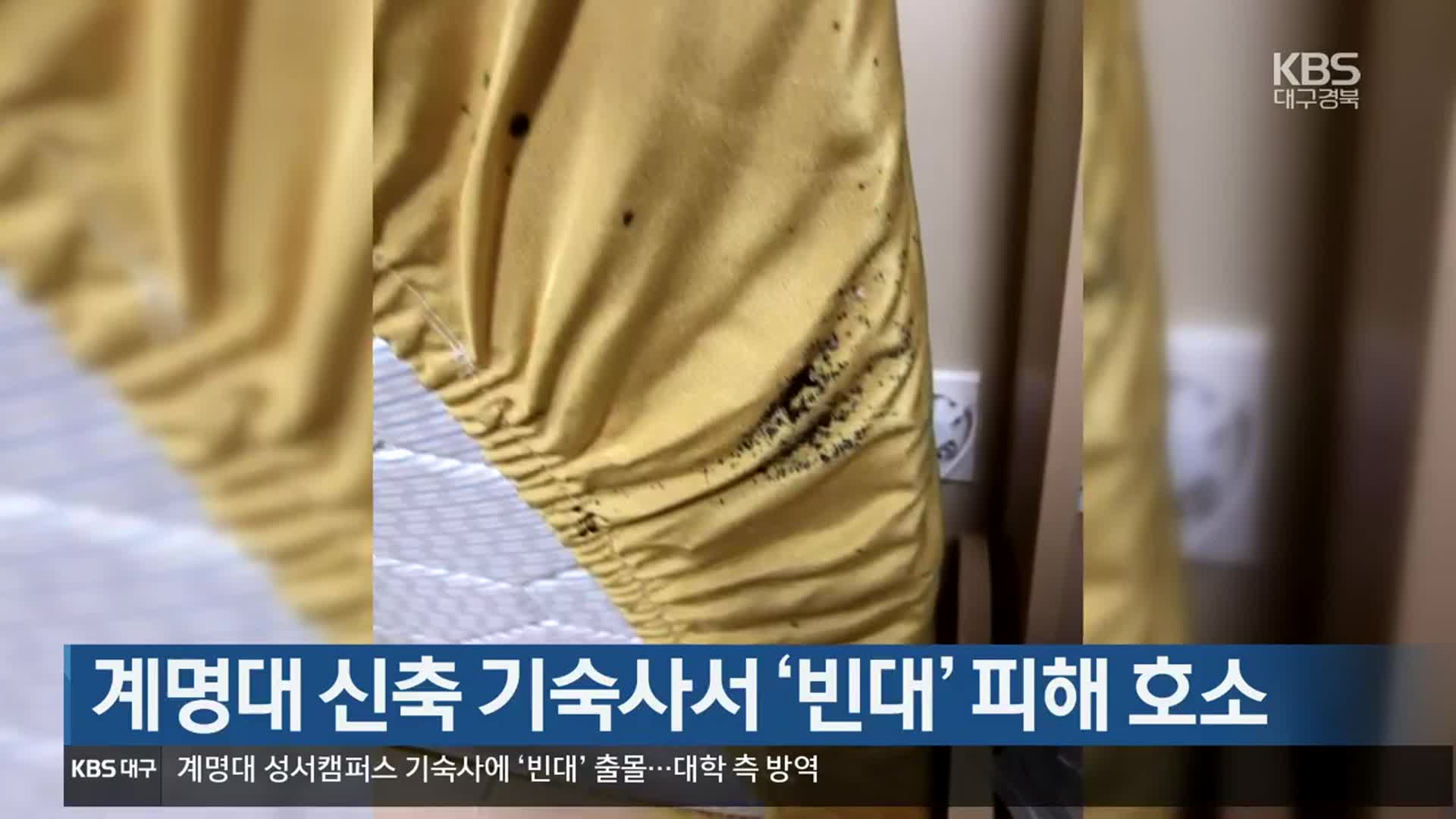 계명대 신축 기숙사서 ‘빈대’ 피해 호소