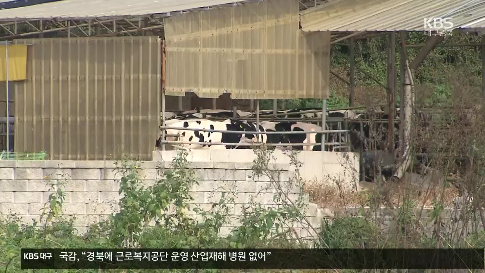 경기·충남·충북에서 럼피스킨병 7건 추가…총 17건 확진