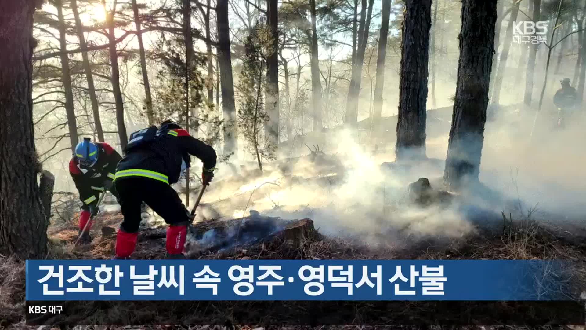 건조한 날씨 속 영주·영덕서 산불