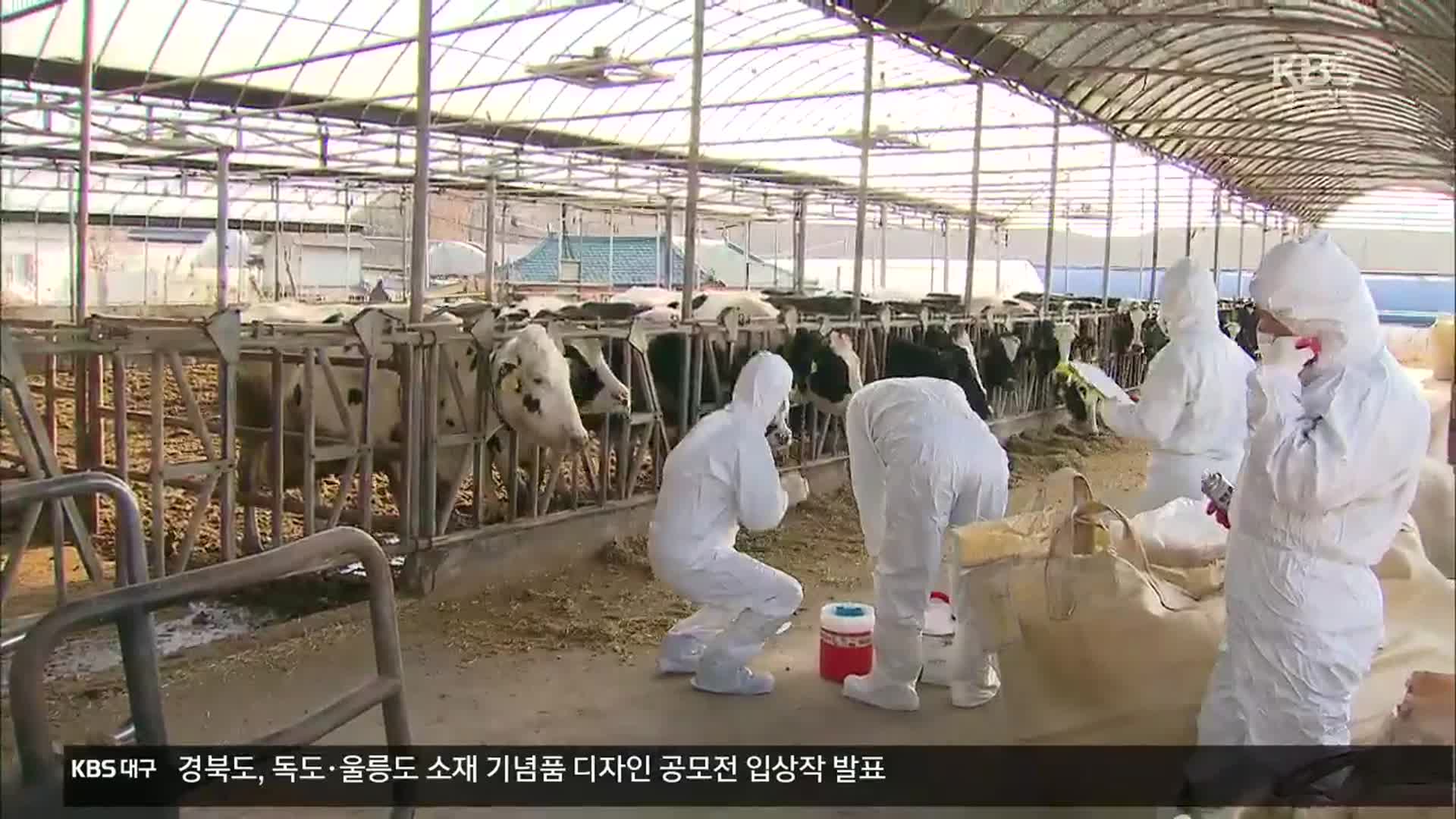 럼피스킨병 확진 2곳 추가…정부 “전국 모든 소에 백신 접종”