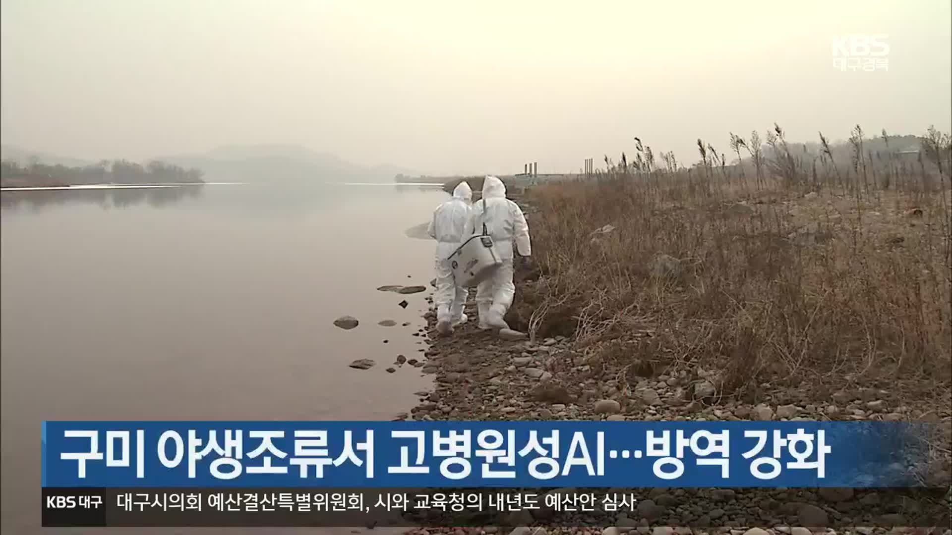 구미 야생조류서 고병원성AI…방역 강화