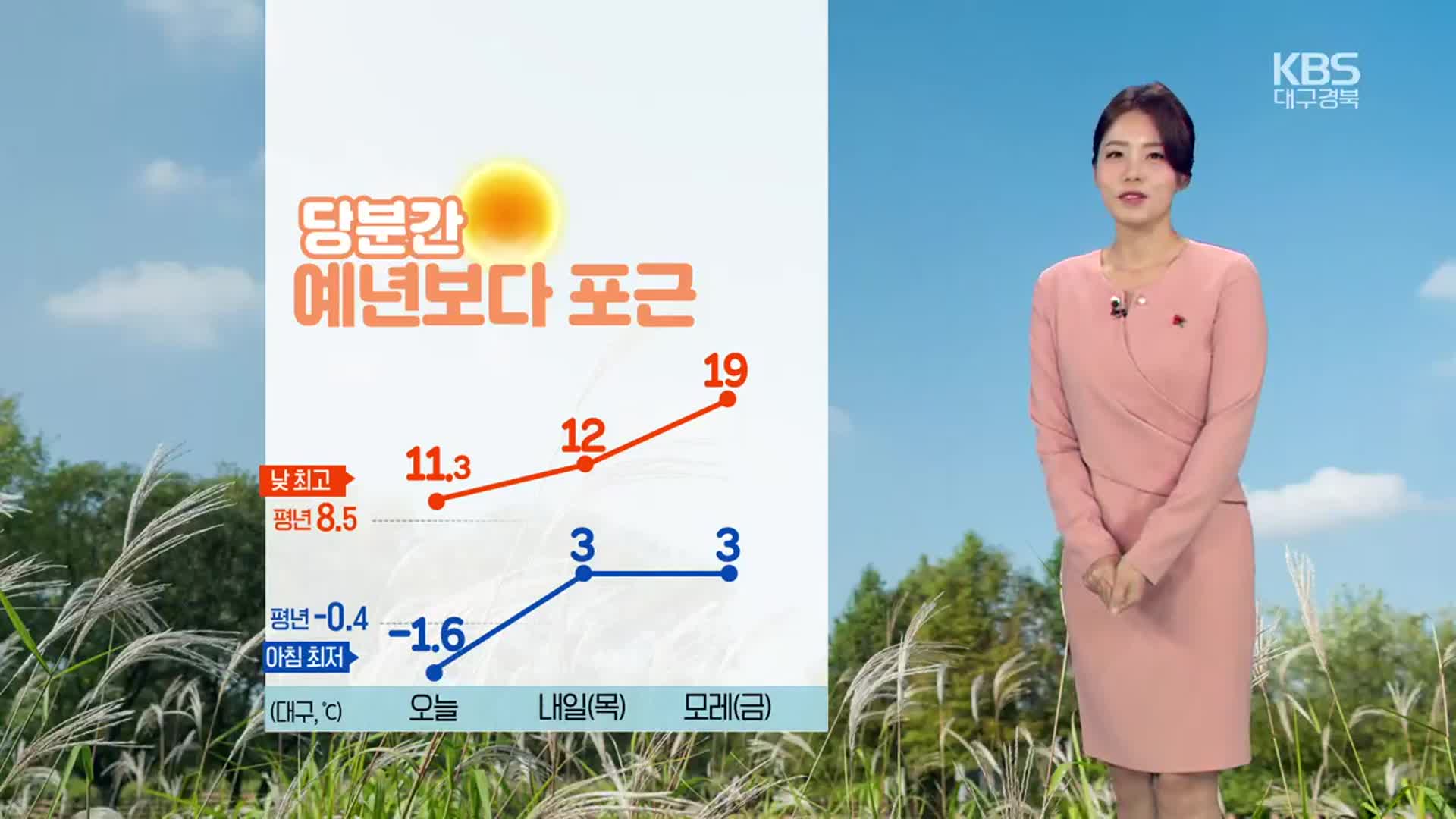 [날씨] 대구·경북 곳곳 밤까지 비…당분간 예년보다 포근