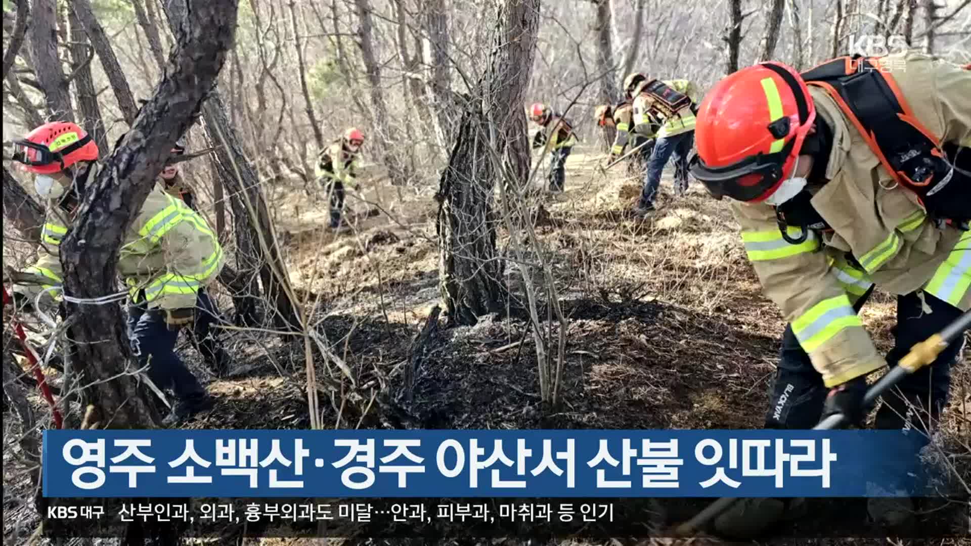 영주 소백산·경주 야산서 산불 잇따라