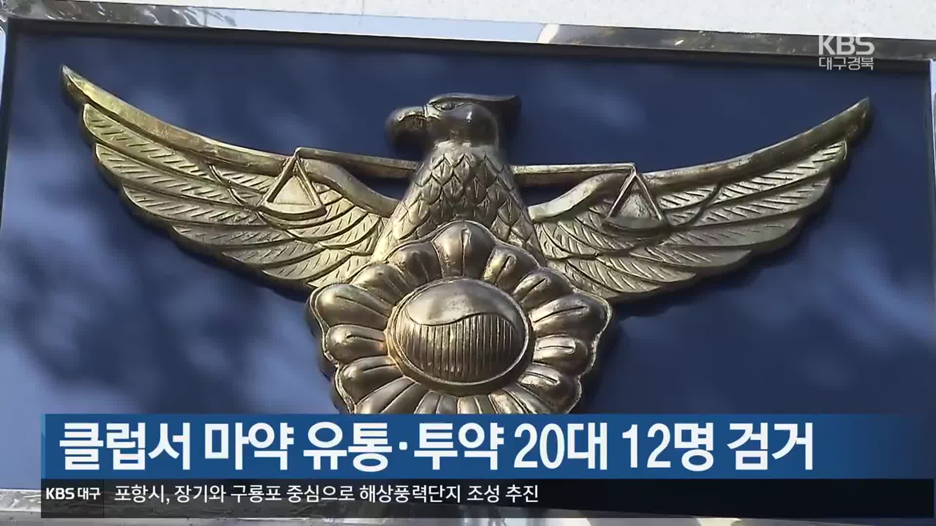 클럽서 마약 유통·투약 20대 12명 검거