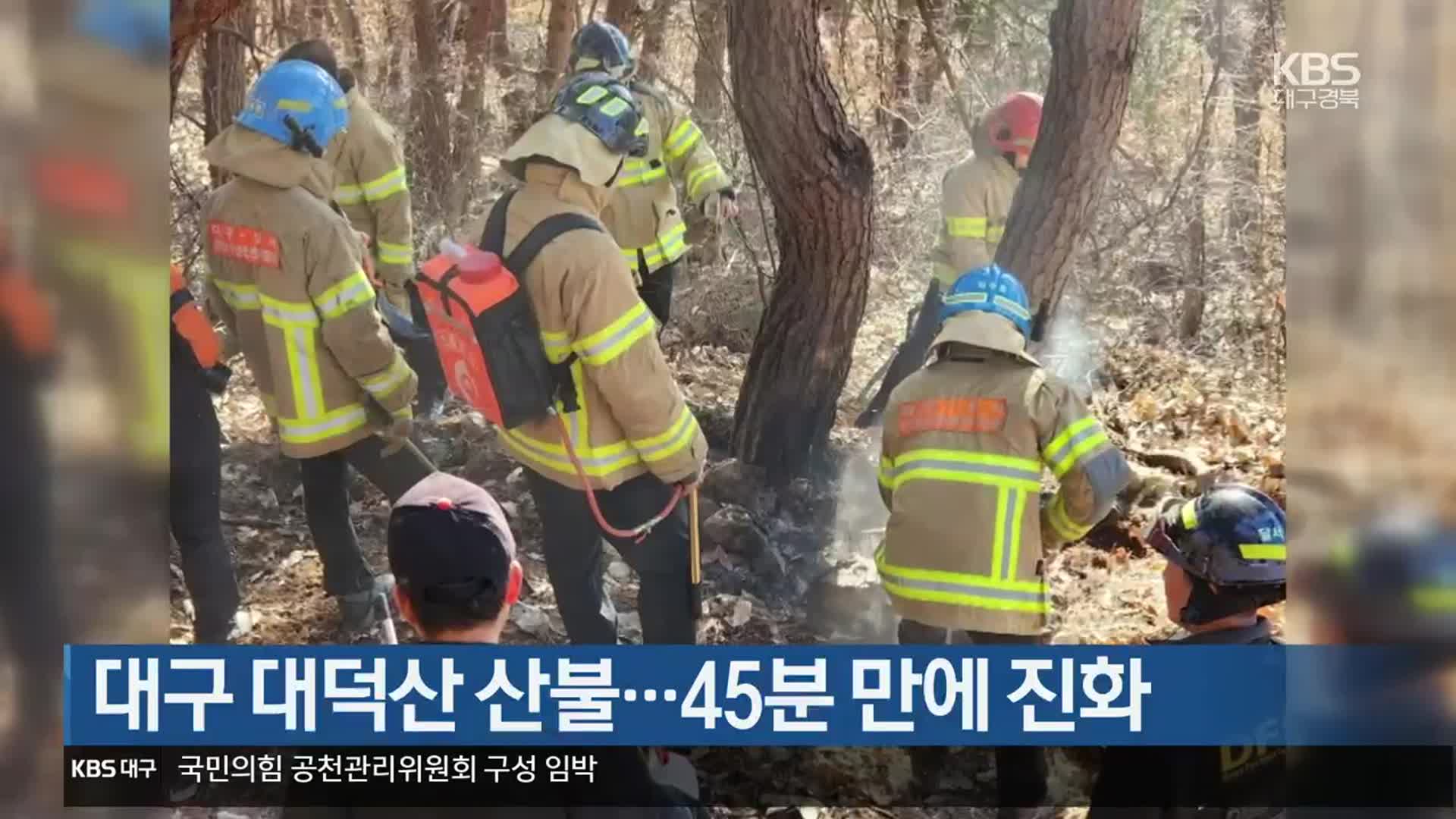 대구 대덕산 산불…45분 만에 진화