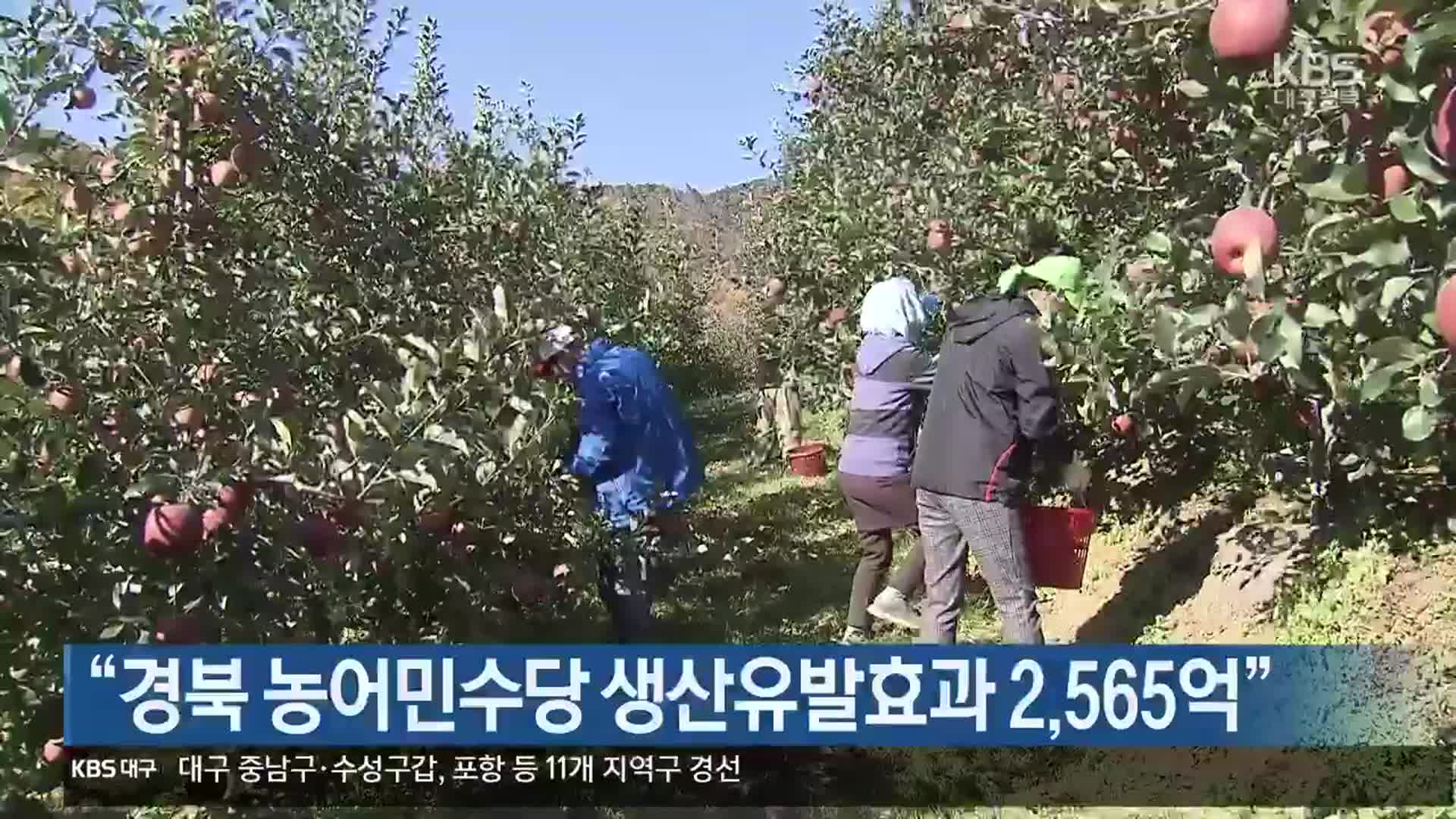 “경북 농어민수당 생산유발효과 2,565억”