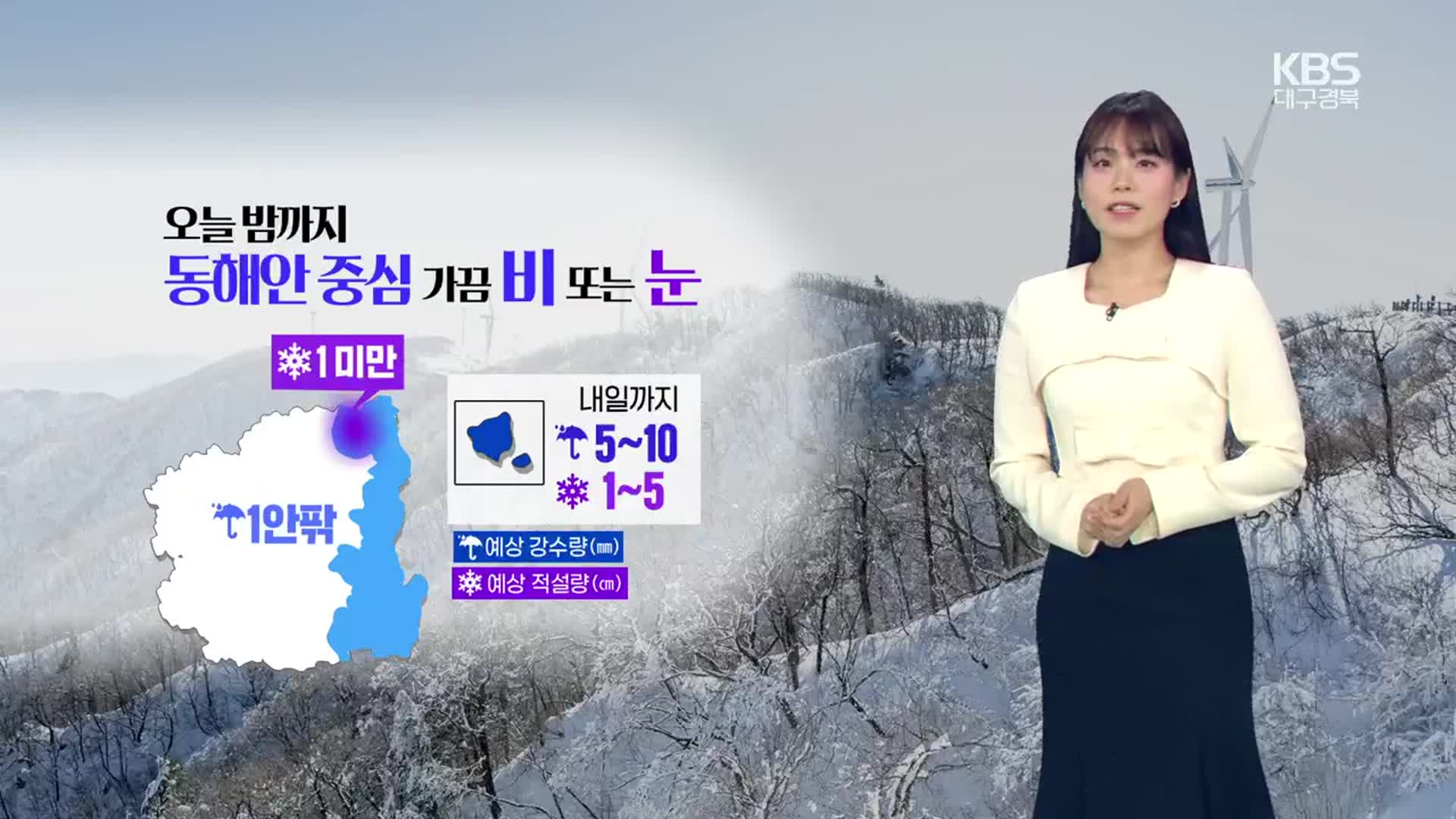[날씨] 대구·경북 밤까지 곳곳 비·눈…내일부터 영하권 추위