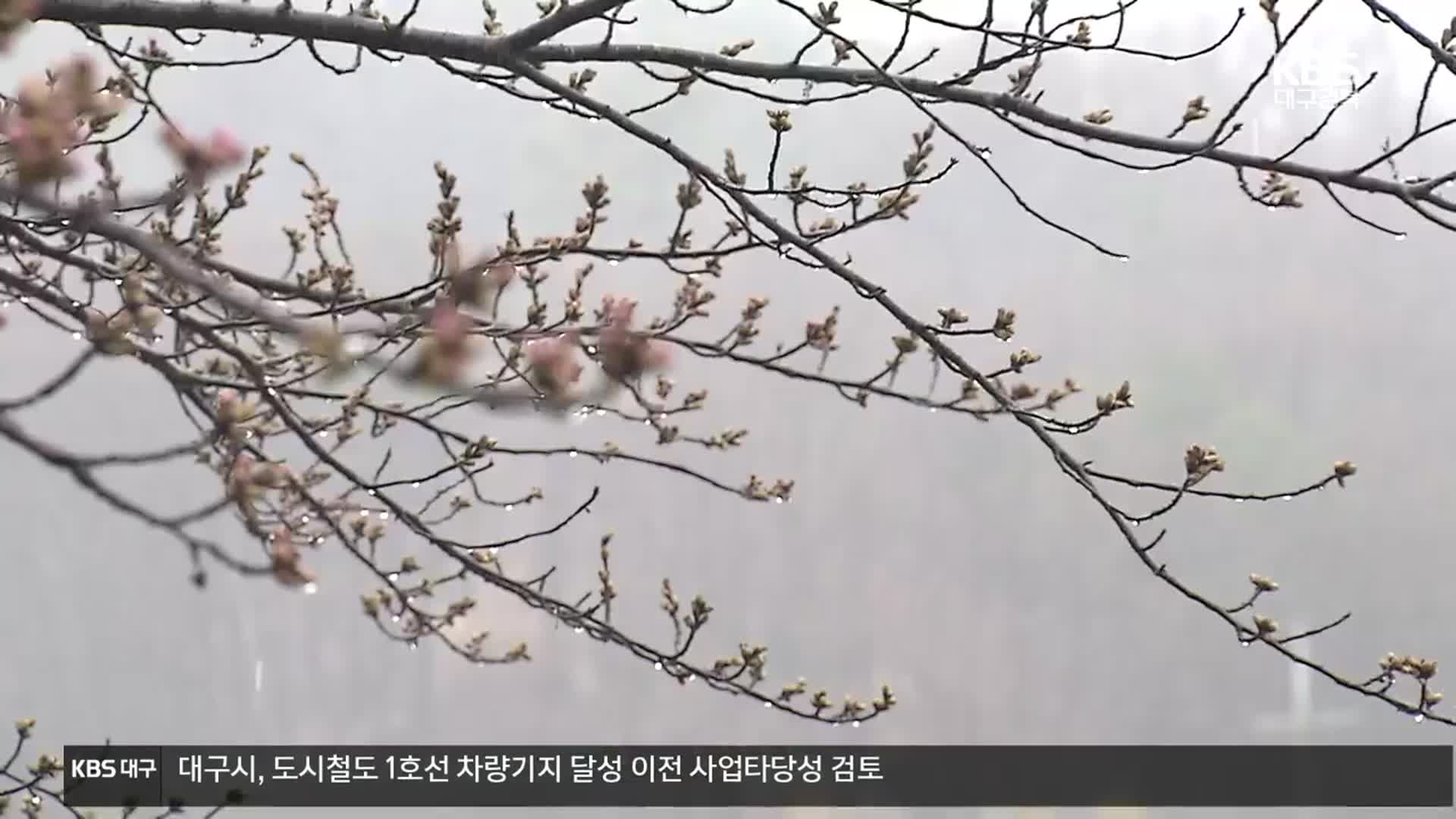 벚꽃 없는 벚꽃축제…축제장마다 ‘울상’