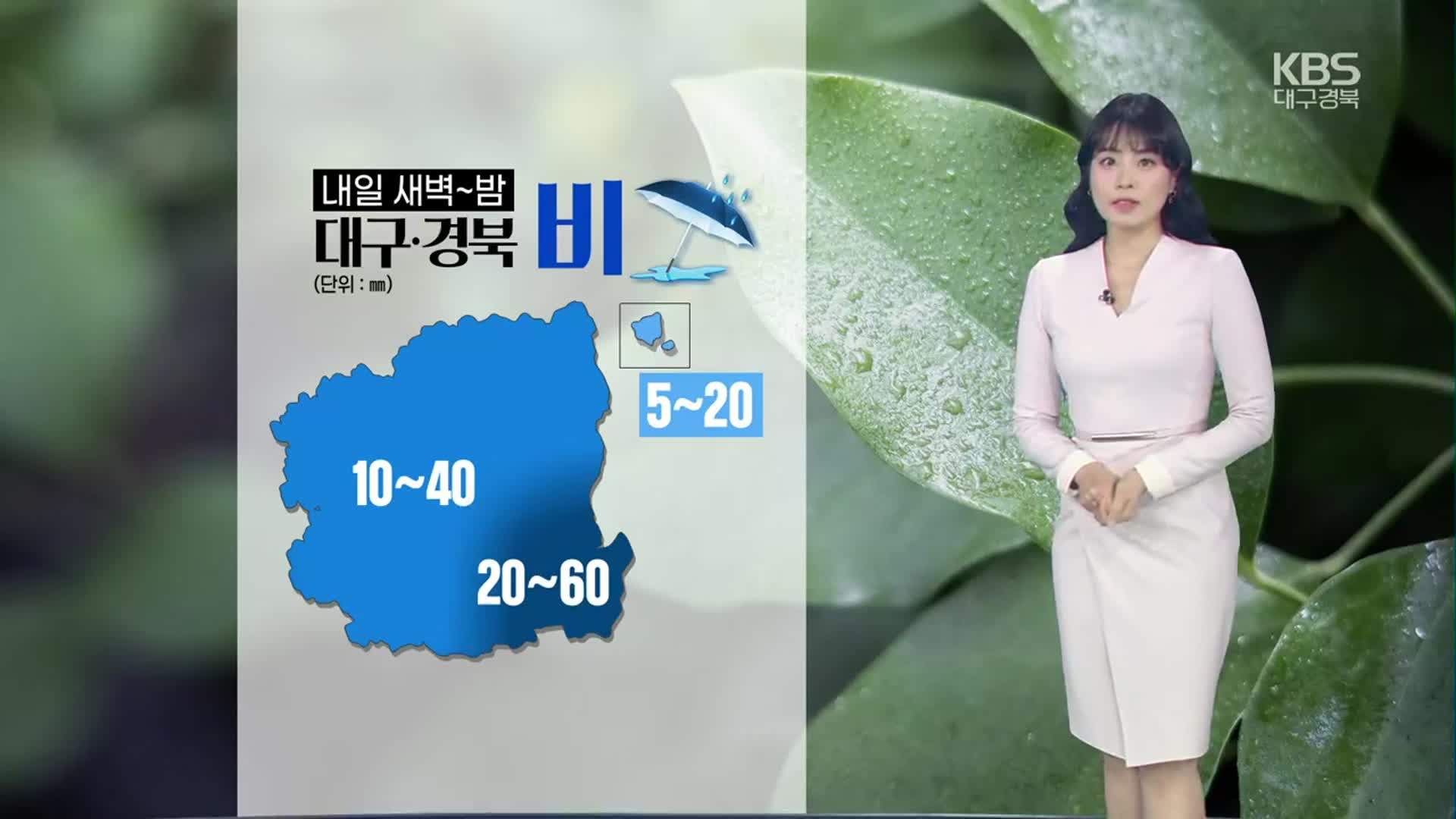 [날씨] 대구·경북 내일 새벽부터 비…기온 낮아져