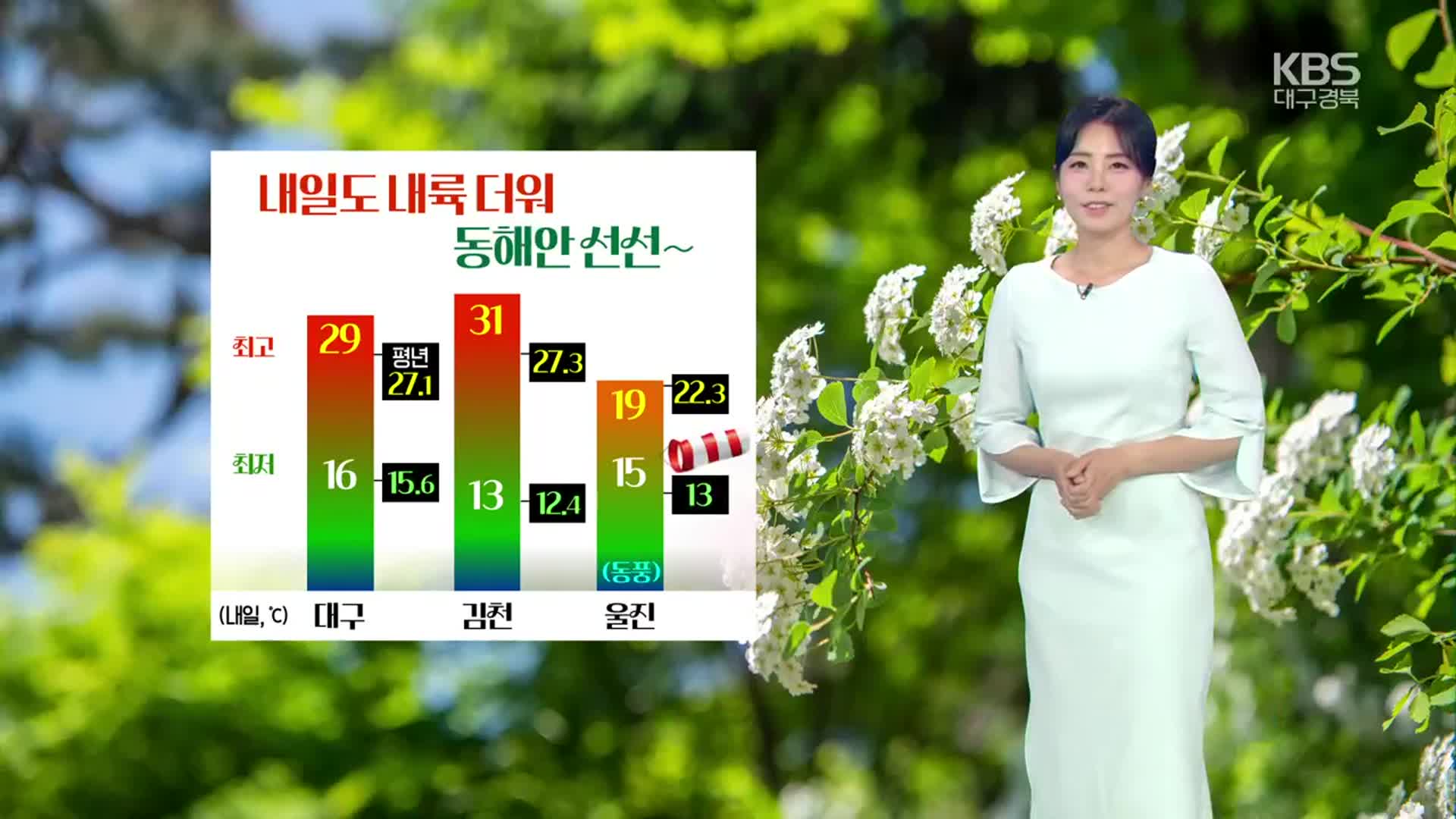 [날씨] 대구·경북 내일도 더워…내륙 곳곳 소나기