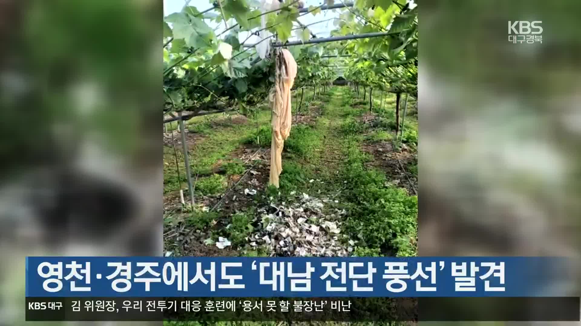 영천·경주에서도 ‘대남 전단 풍선’ 발견