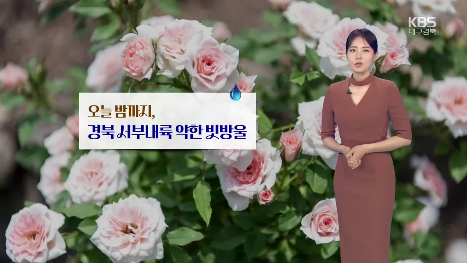 [날씨] 대구·경북 곳곳 오늘 밤까지 약한 비…내일 한낮 25도↑