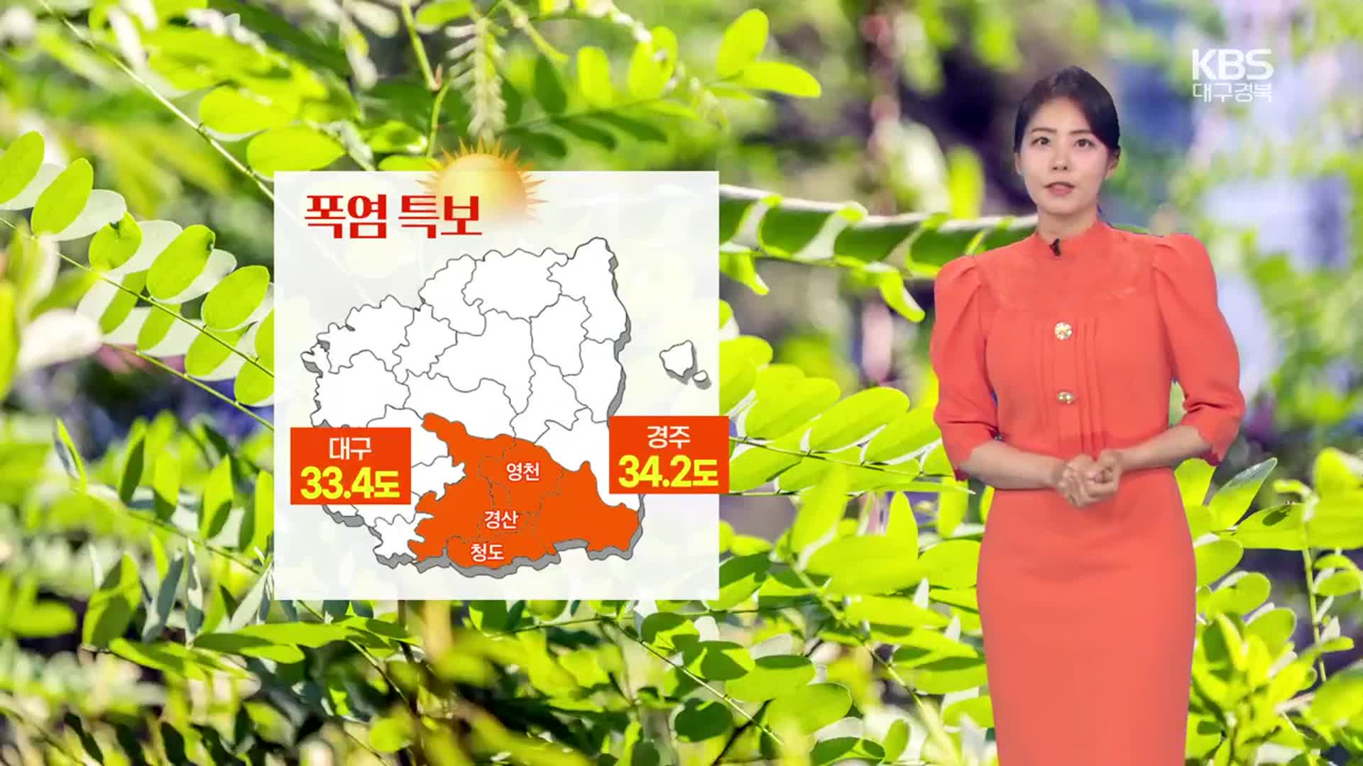 [날씨] 대구·경북 곳곳 폭염특보…오늘 저녁부터 소나기