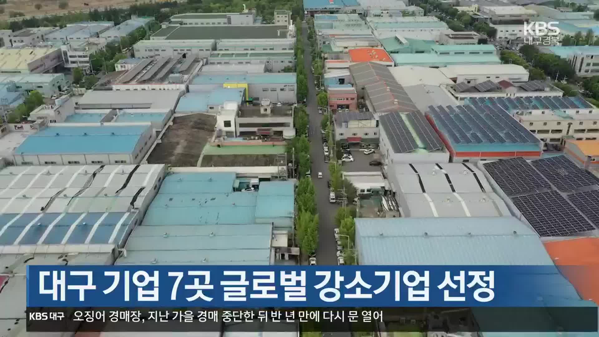 대구 기업 7곳 글로벌 강소기업 선정