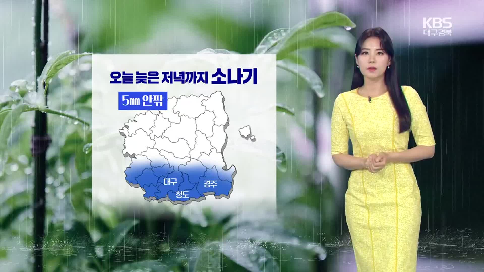 [날씨] 대구·경북 오늘 늦은 저녁까지 소나기…내일도 폭염주의보