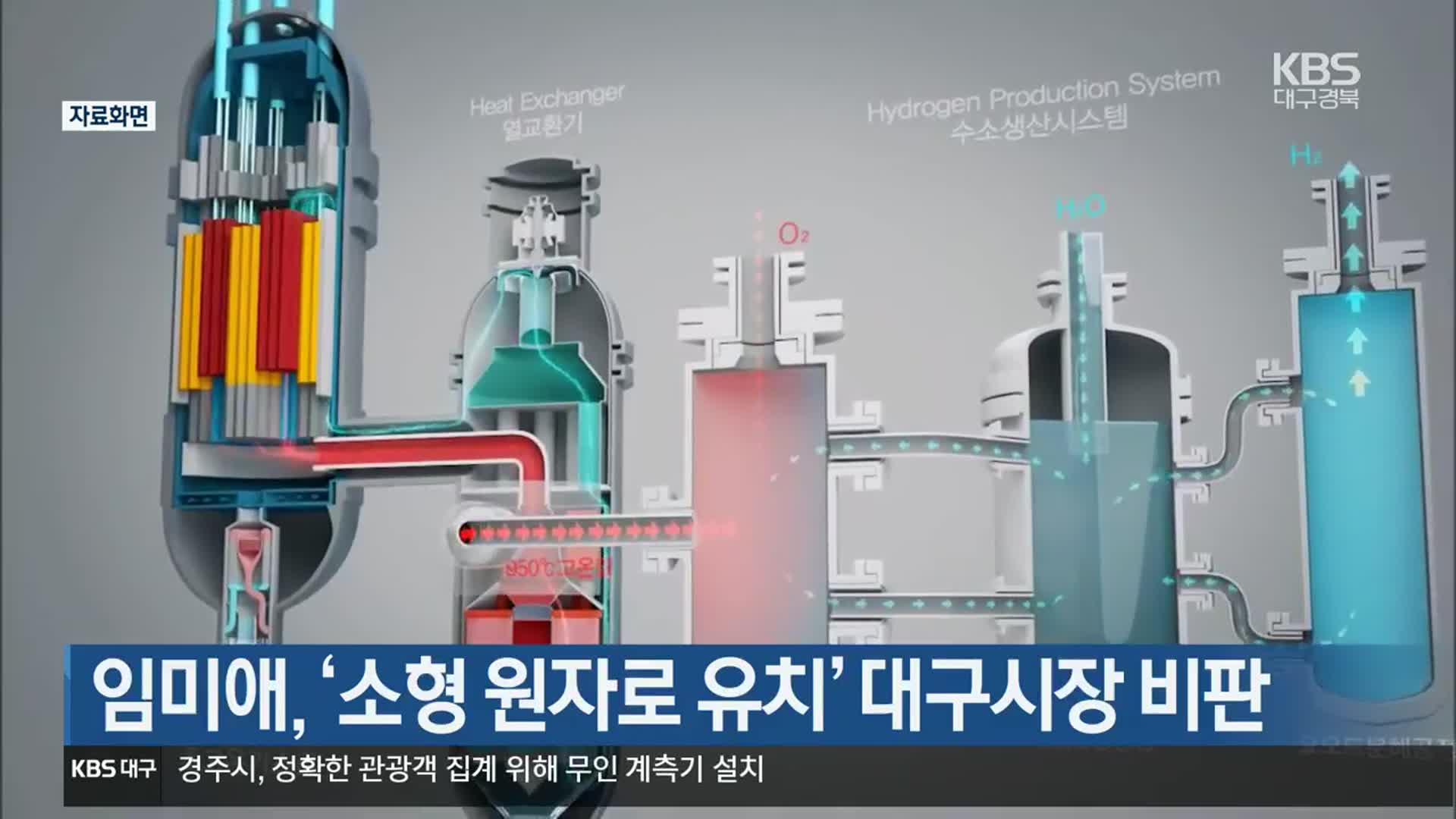 임미애, ‘소형 원자로 유치’ 대구시장 비판