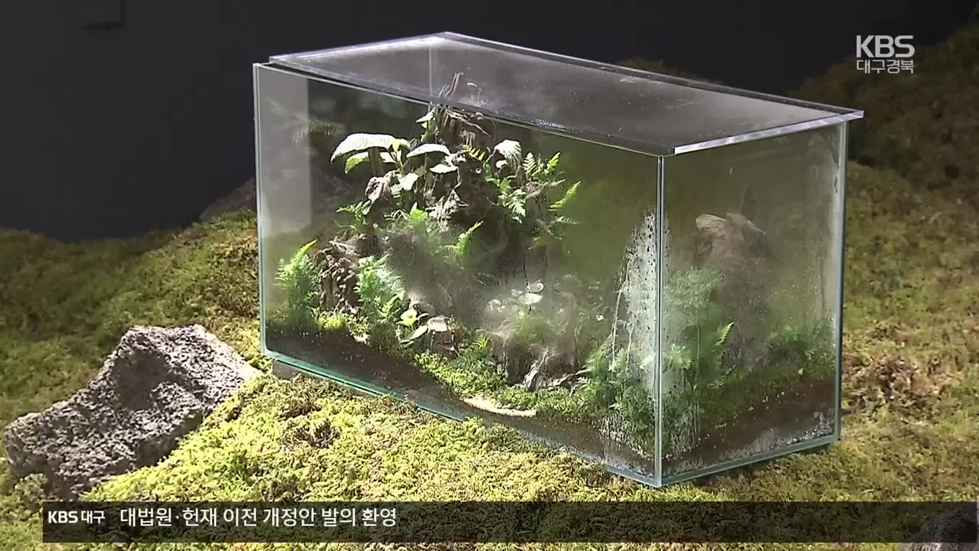 대구아트웨이 ‘산책자’展…산책하며 작품 감상