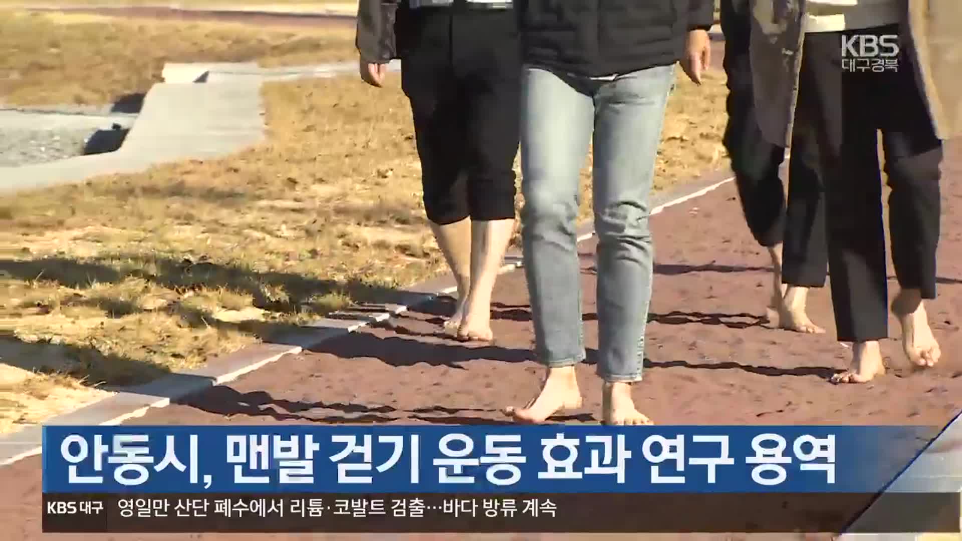 [여기는 안동] 안동시, 맨발 걷기 운동 효과 연구 용역 외