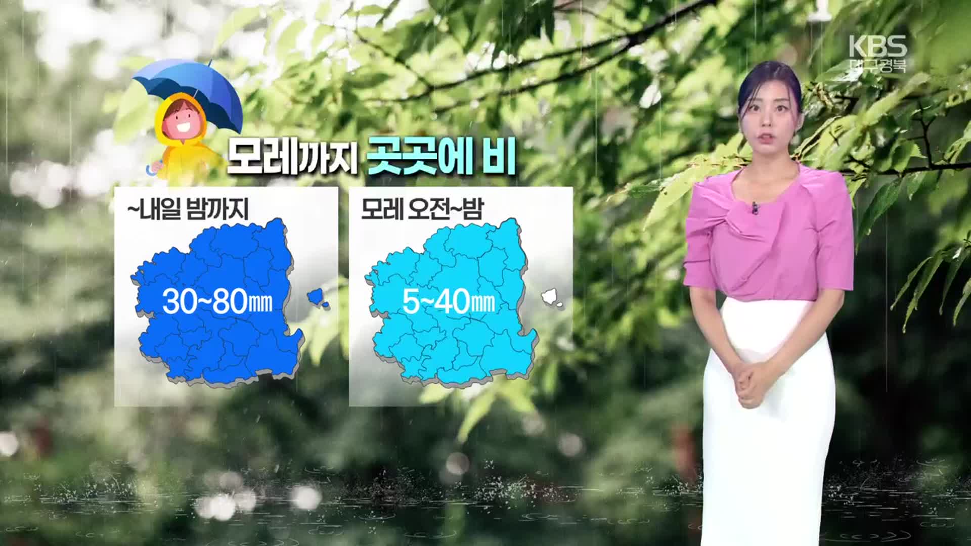 [날씨] 대구·경북 오늘 밤부터 강한 바람…내일 밤까지 30~80mm ‘비’