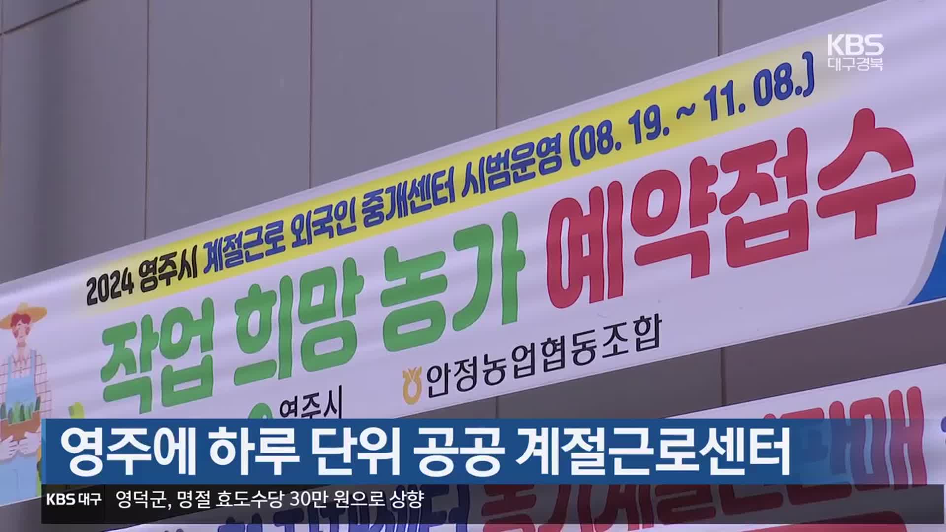 [여기는 안동] 영주에 하루 단위 공공 계절근로센터 외