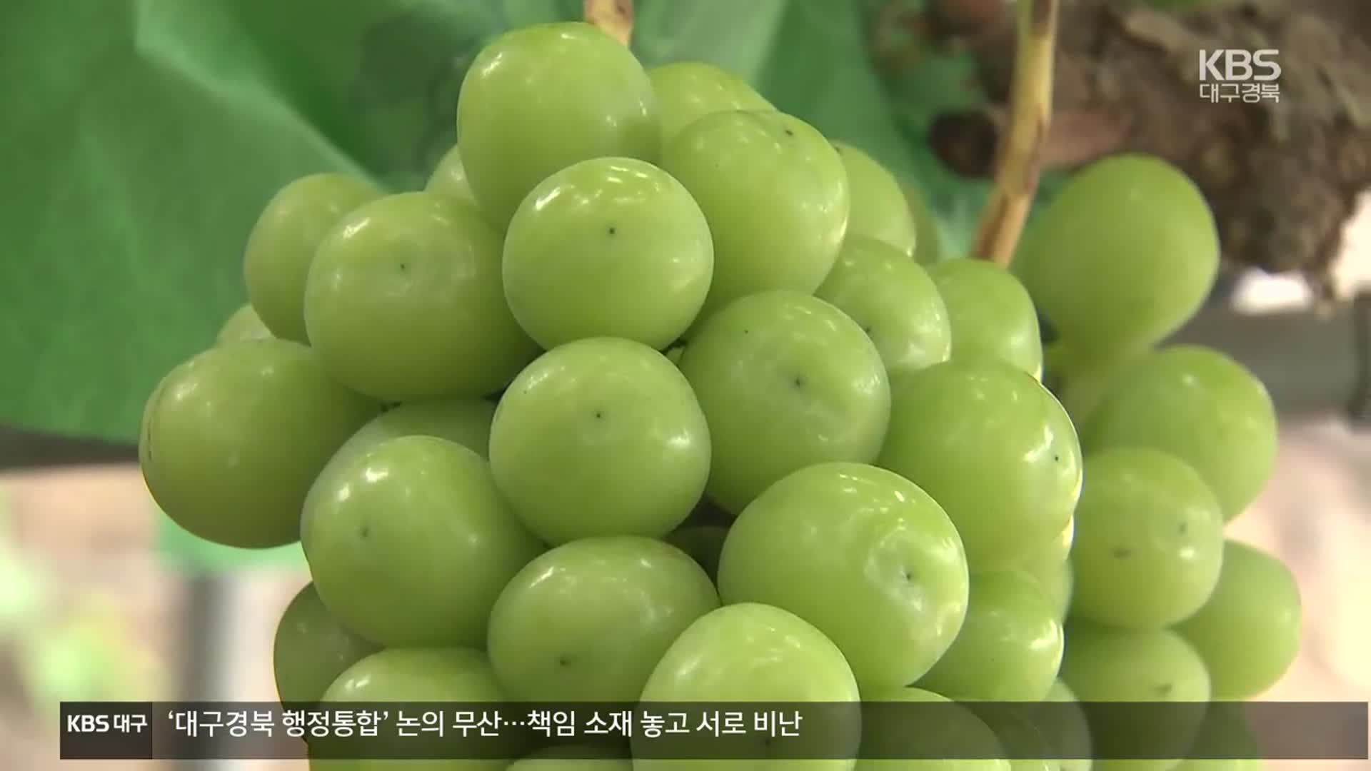 예년보다 이른 추석…상품성 떨어질라 ‘고심’