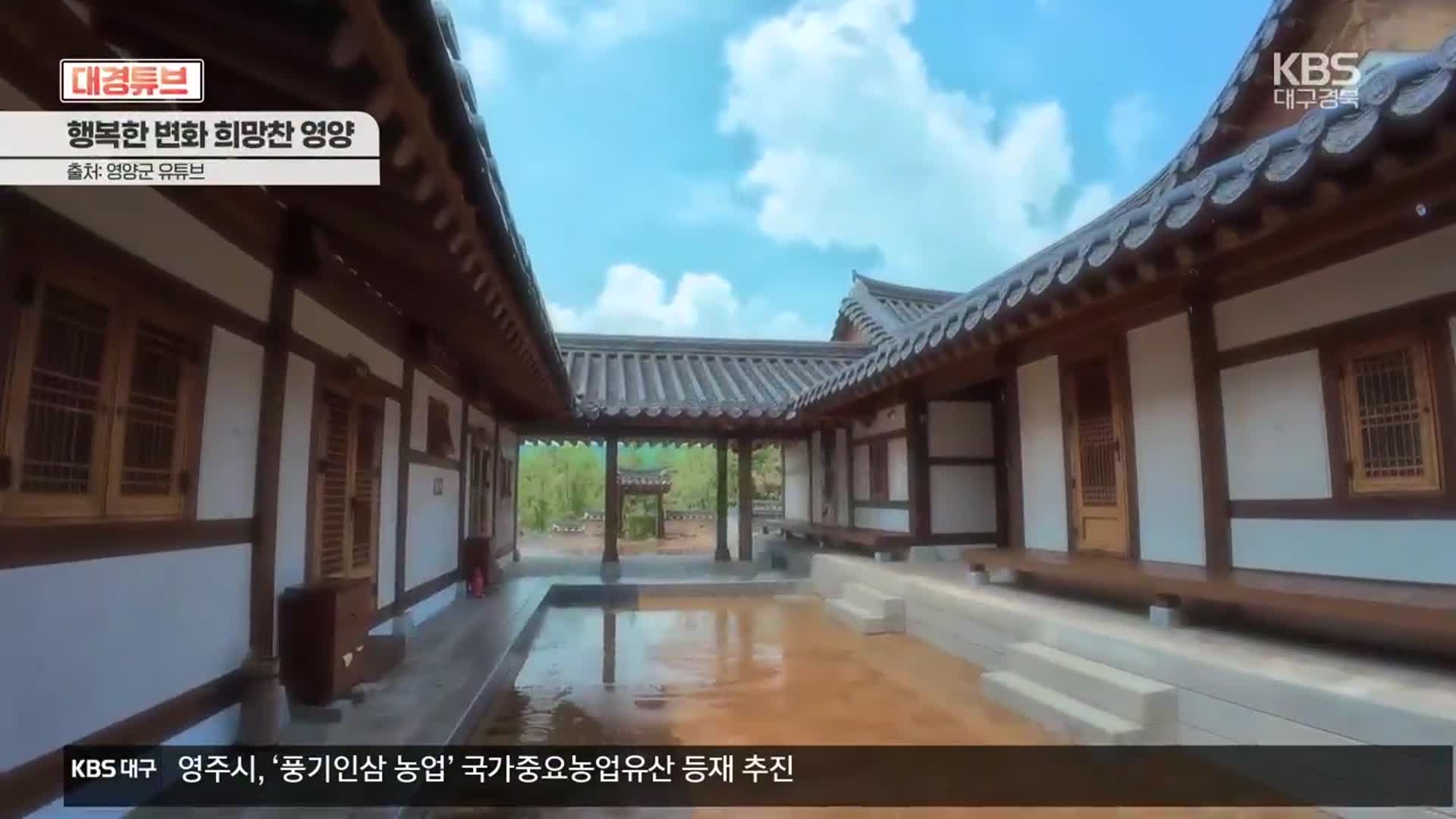 [대경튜브] 유튜버와 손잡고 영양 알린다 외