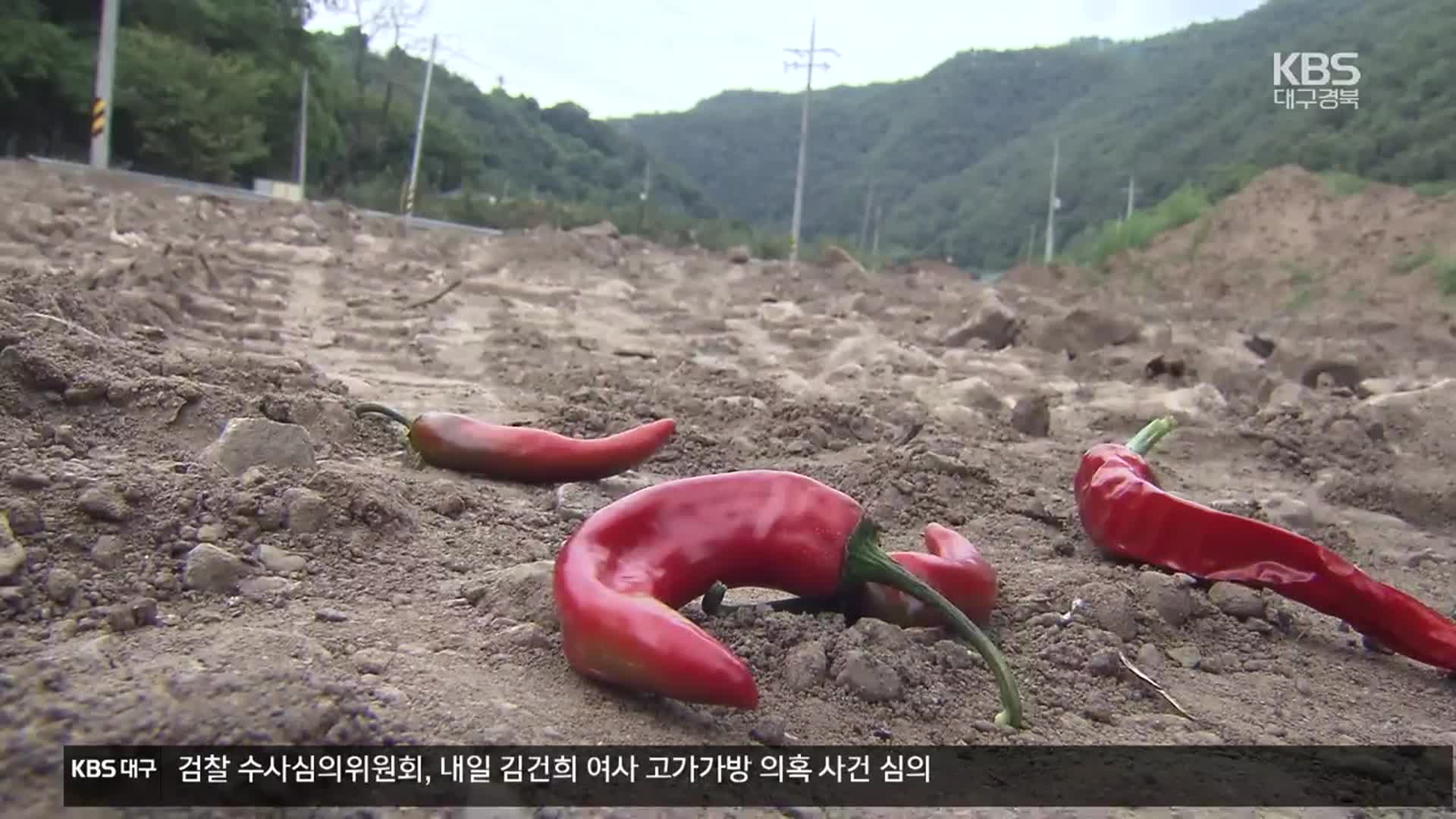 특별재난지역 선포돼도 ‘언발에 오줌 누기’