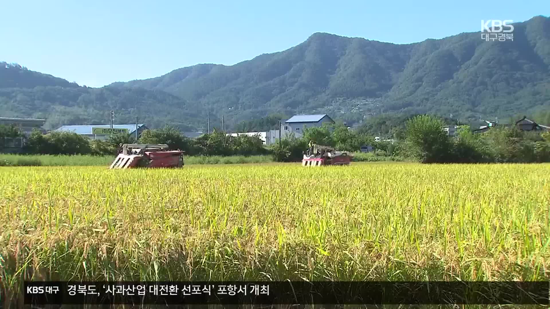 가을걷이 본격 시작…쌀값 하락에 ‘애타는 농심’