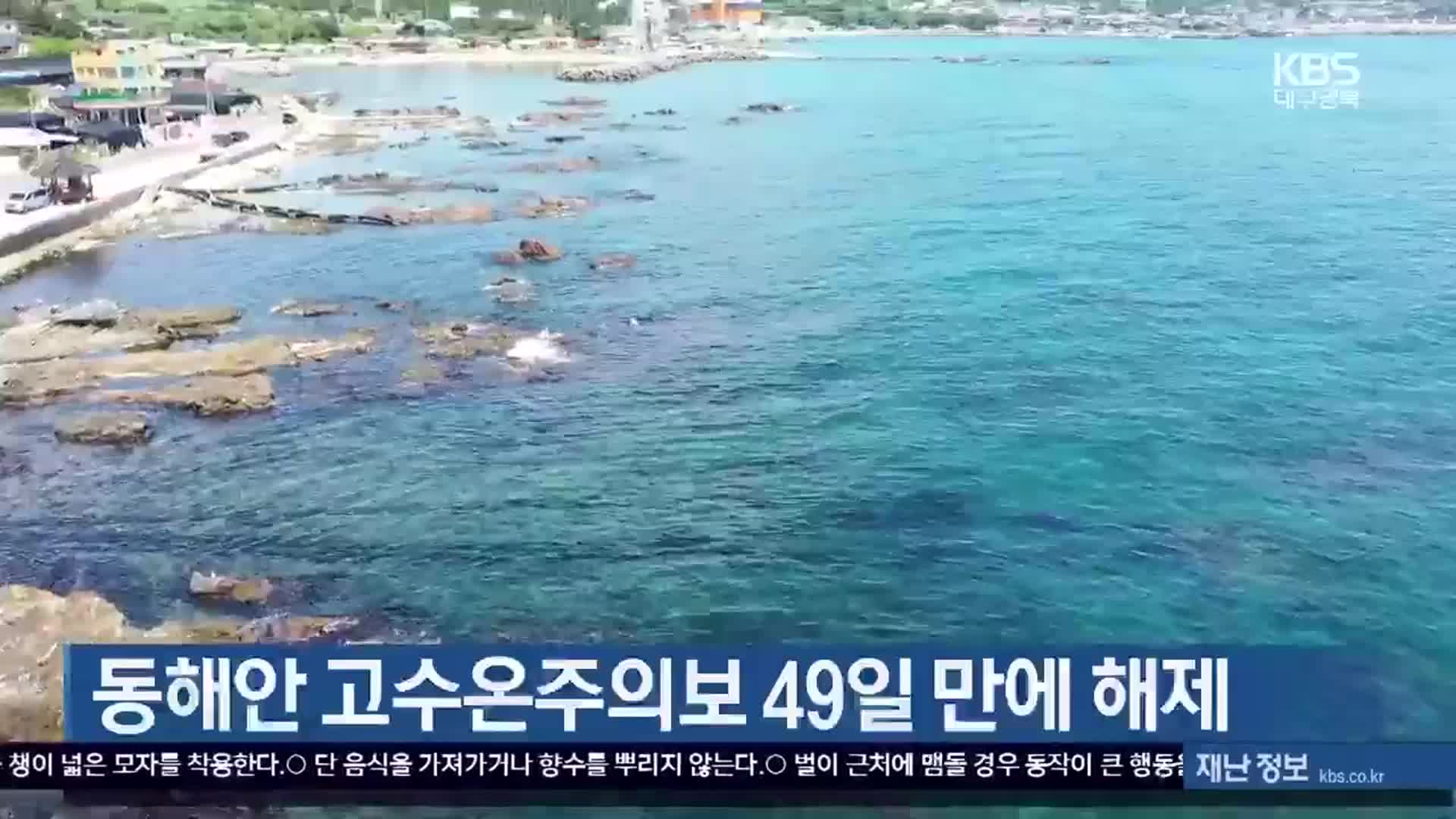 [여기는 포항] 동해안 고수온주의보 49일 만에 해제 외