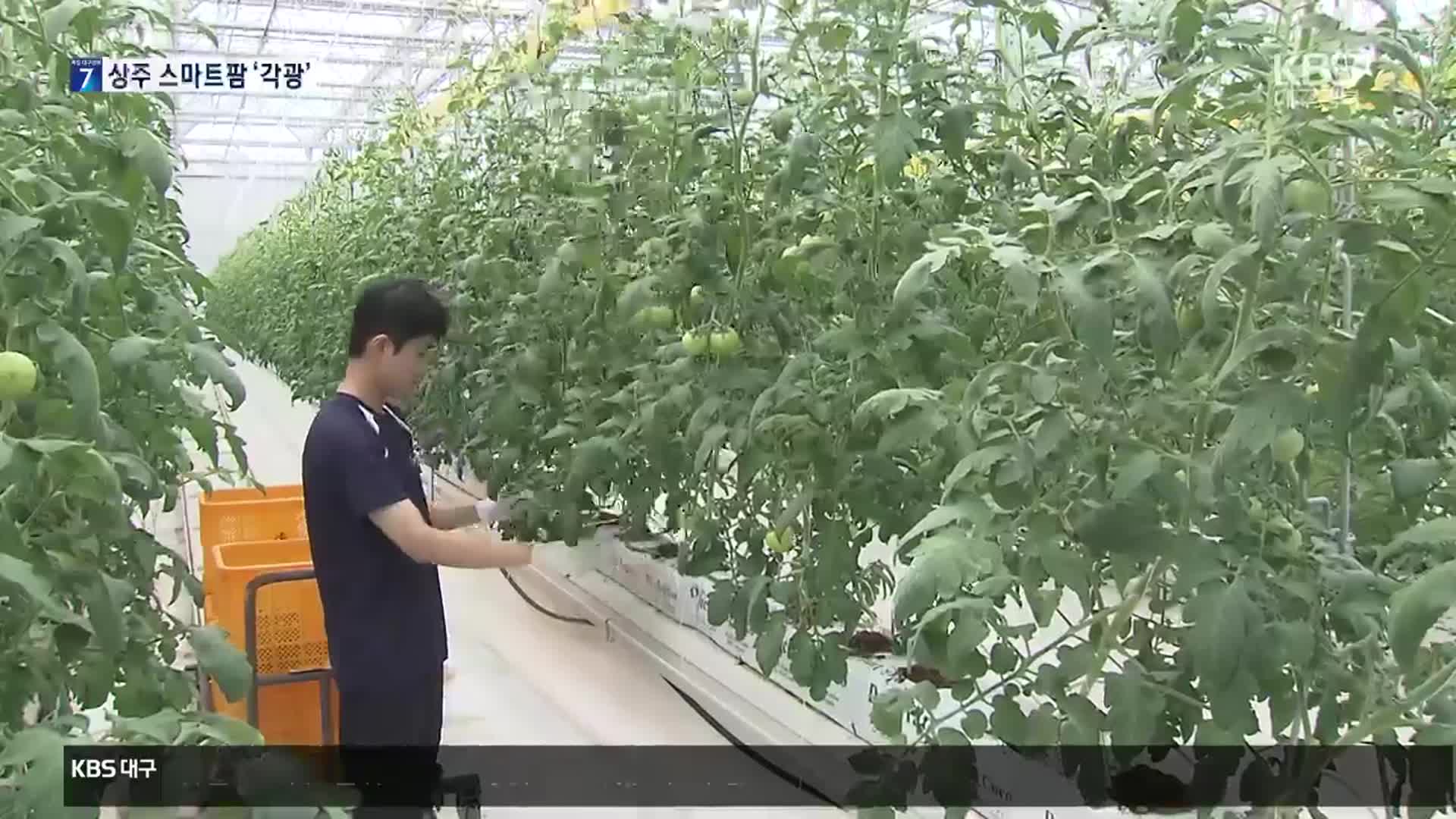 청년 창농의 성지 ‘상주 스마트팜’