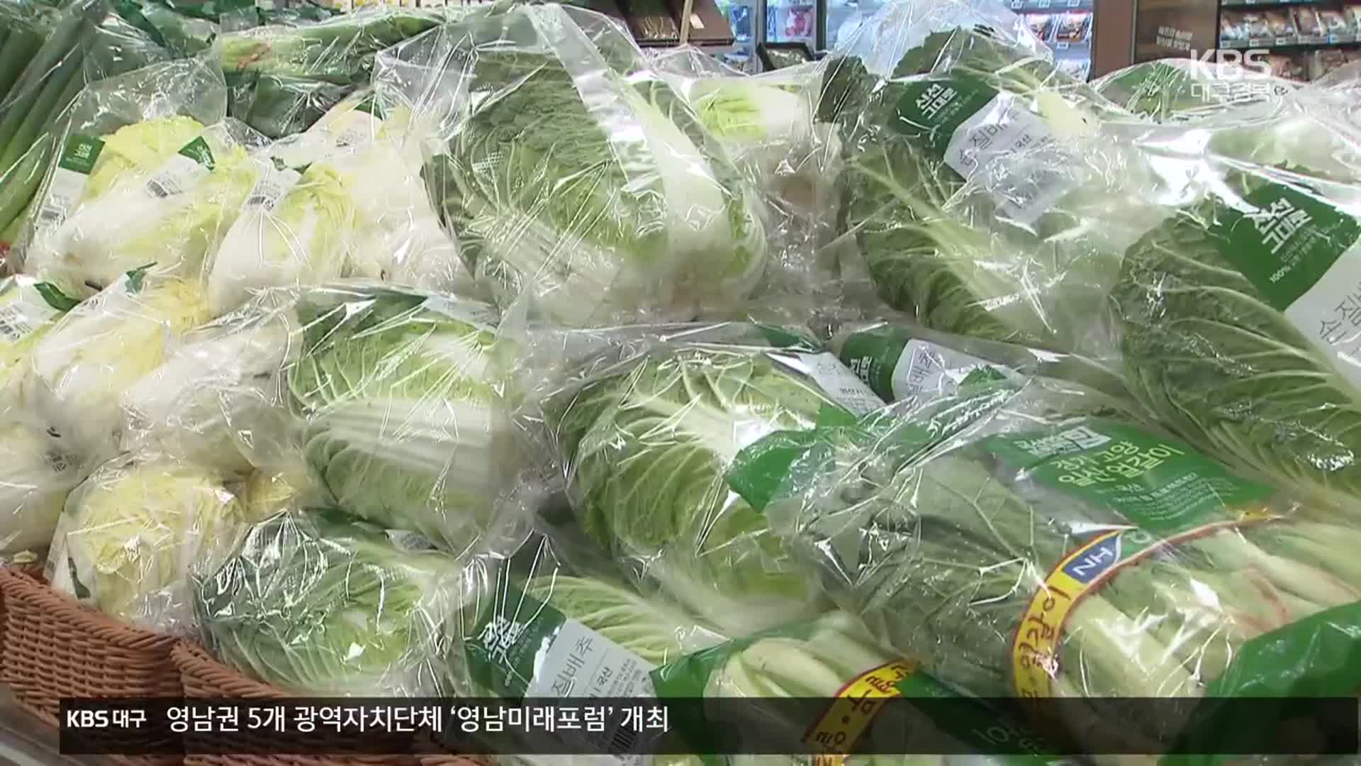 “‘금배추’ 이달 중순부터 점차 안정화”