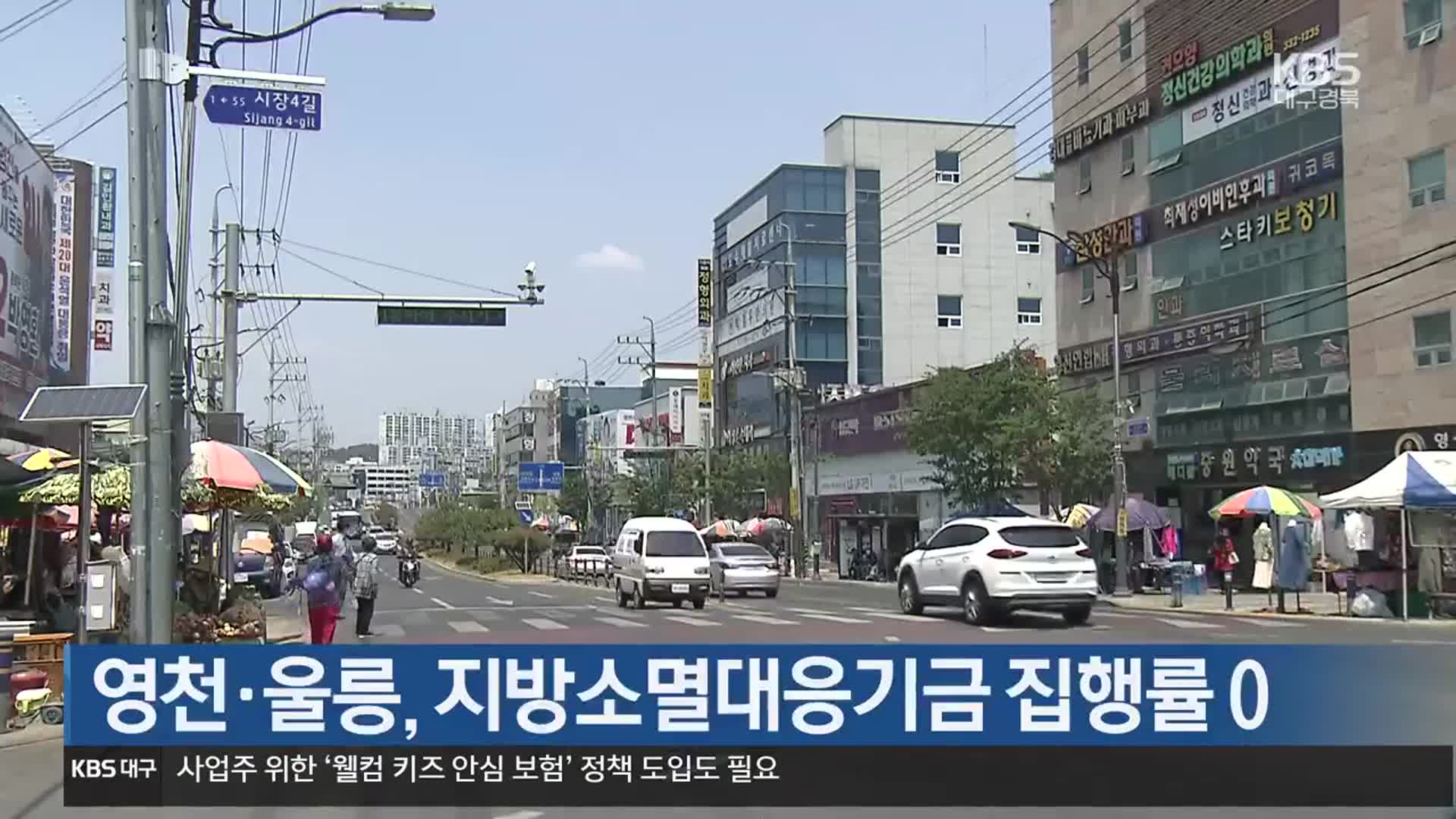 영천·울릉, 지방소멸대응기금 집행률 0