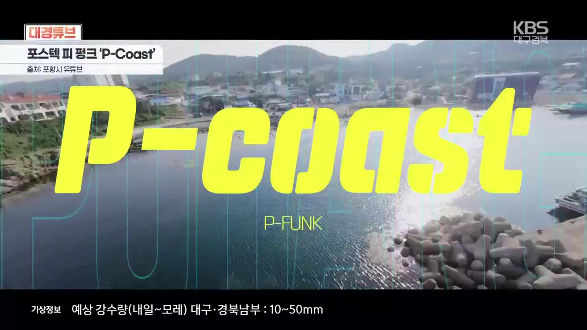 [대경튜브] 포스텍 피 펑크 ‘P-Coast’ 외