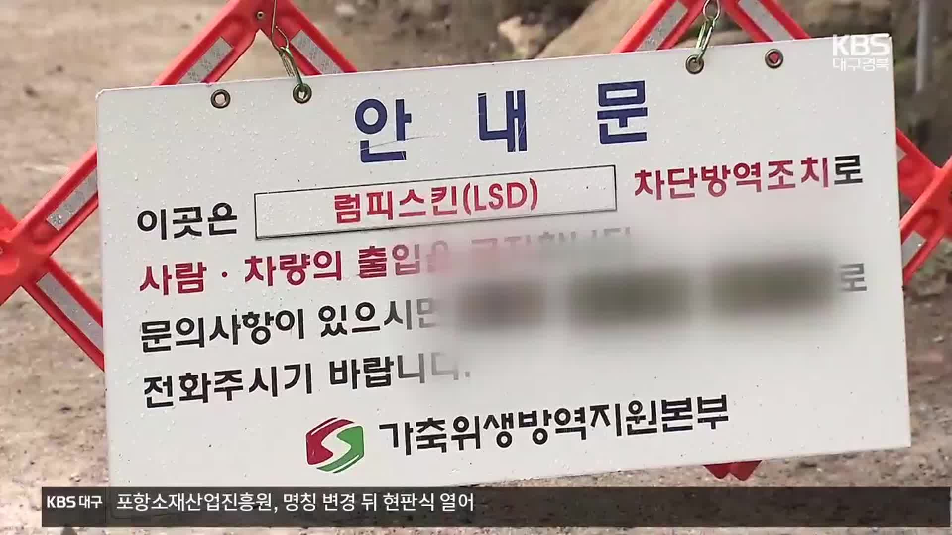 대구, 두 번째 럼피스킨 “12월 초까지 확산 우려”