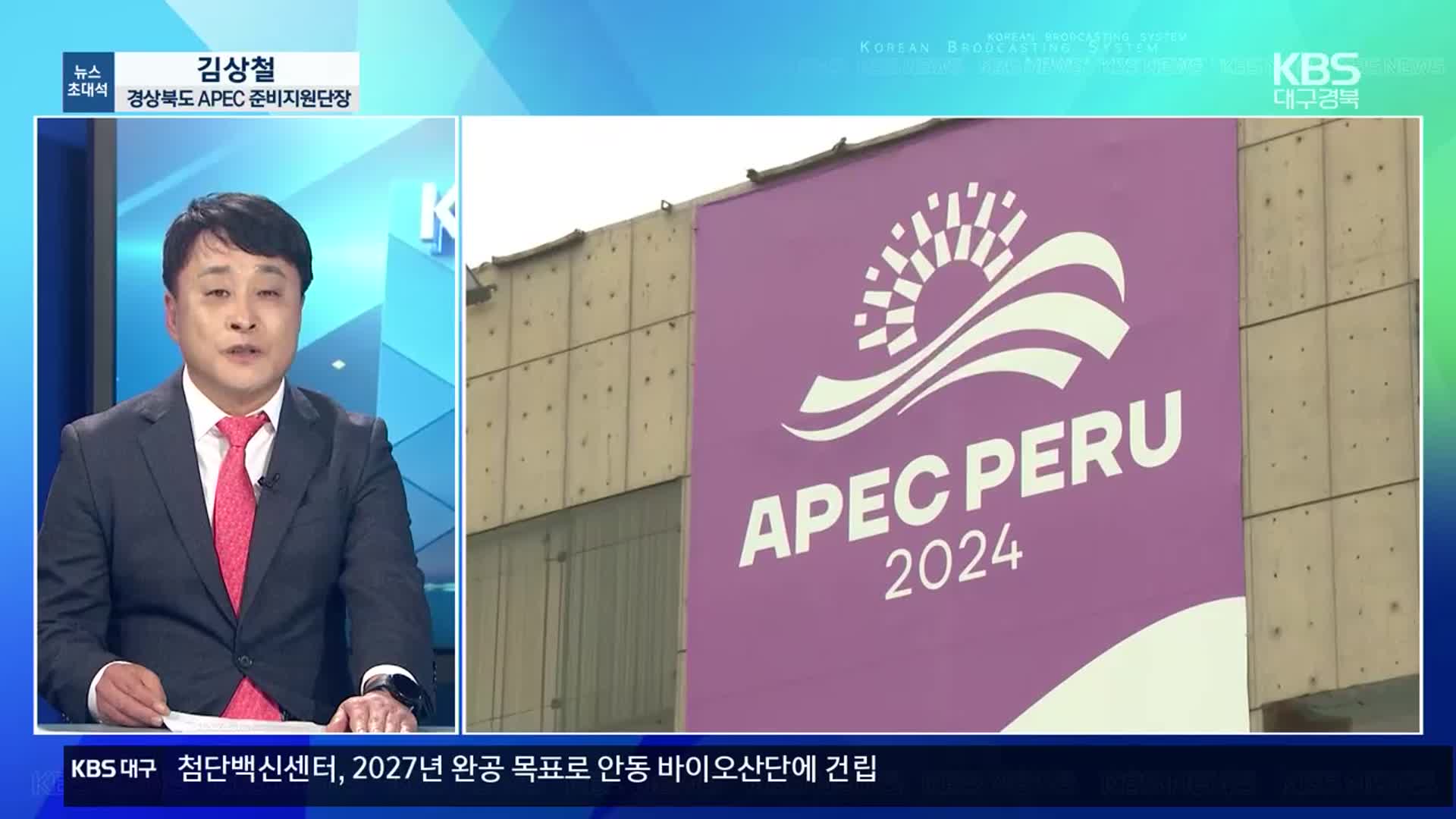 [뉴스초대석] APEC 특별법 ‘통과’…준비 작업 탄력 받나?