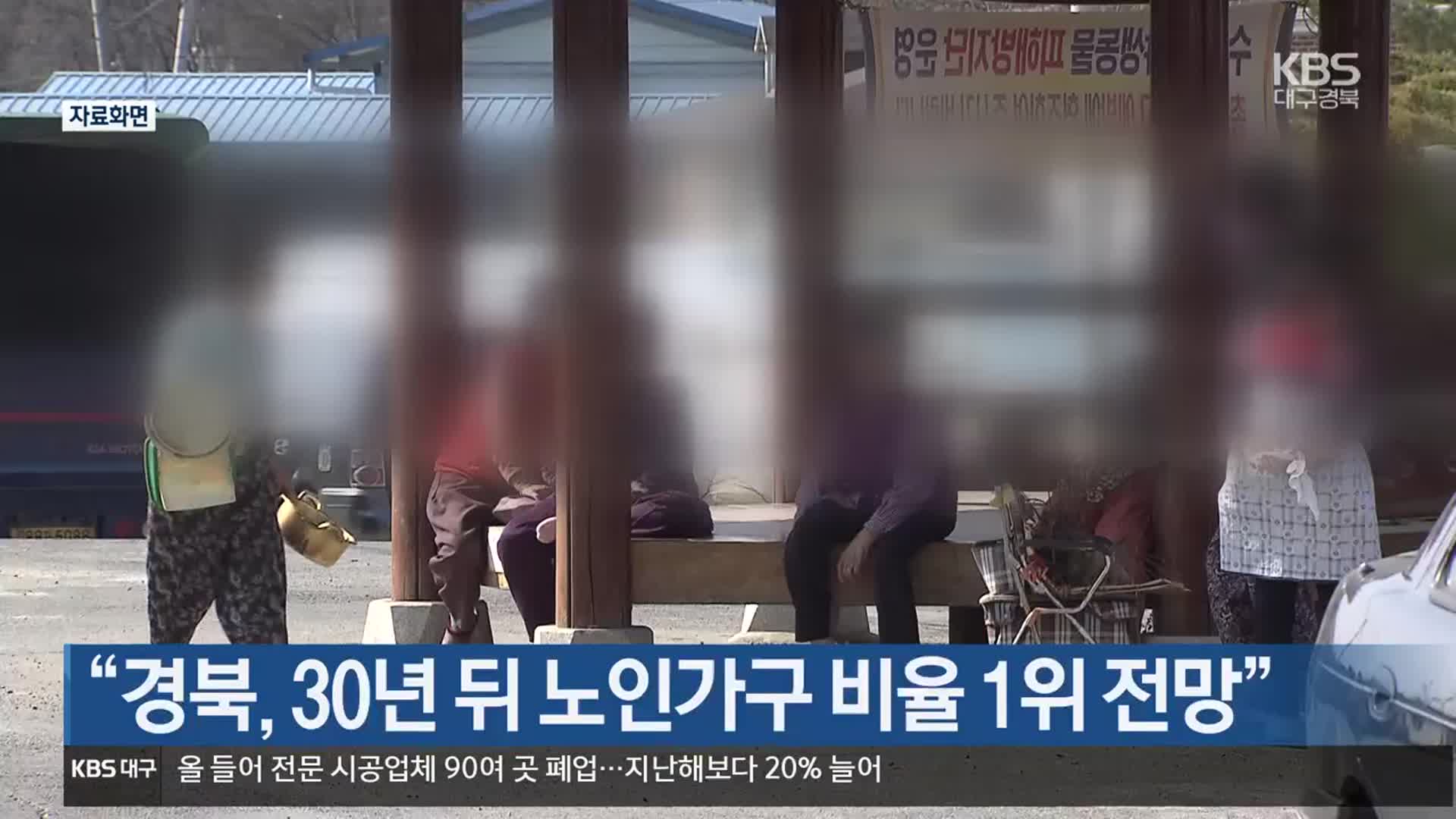 “경북, 30년 뒤 노인가구 비율 1위 전망”