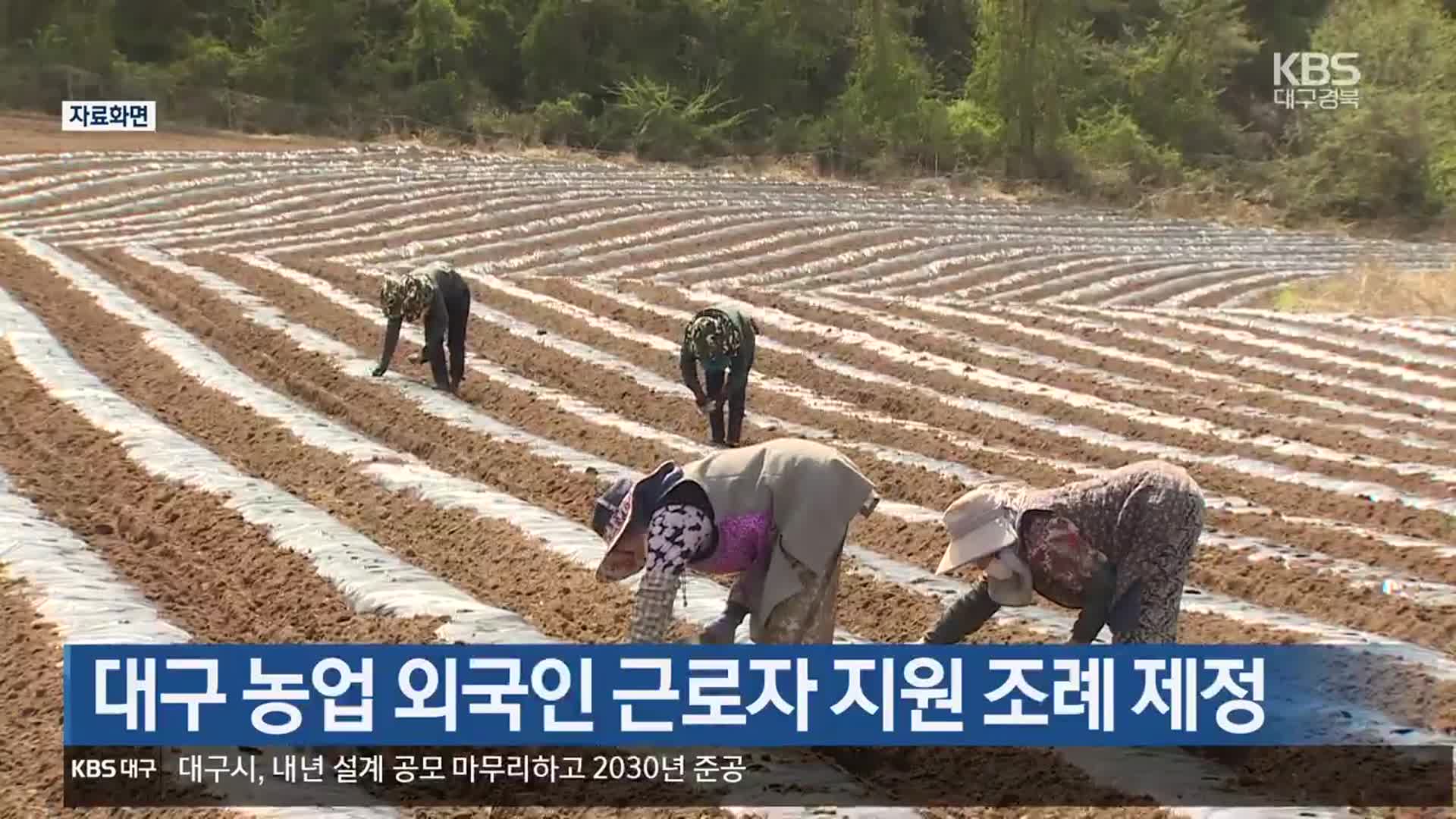 대구 농업 외국인 근로자 지원 조례 제정