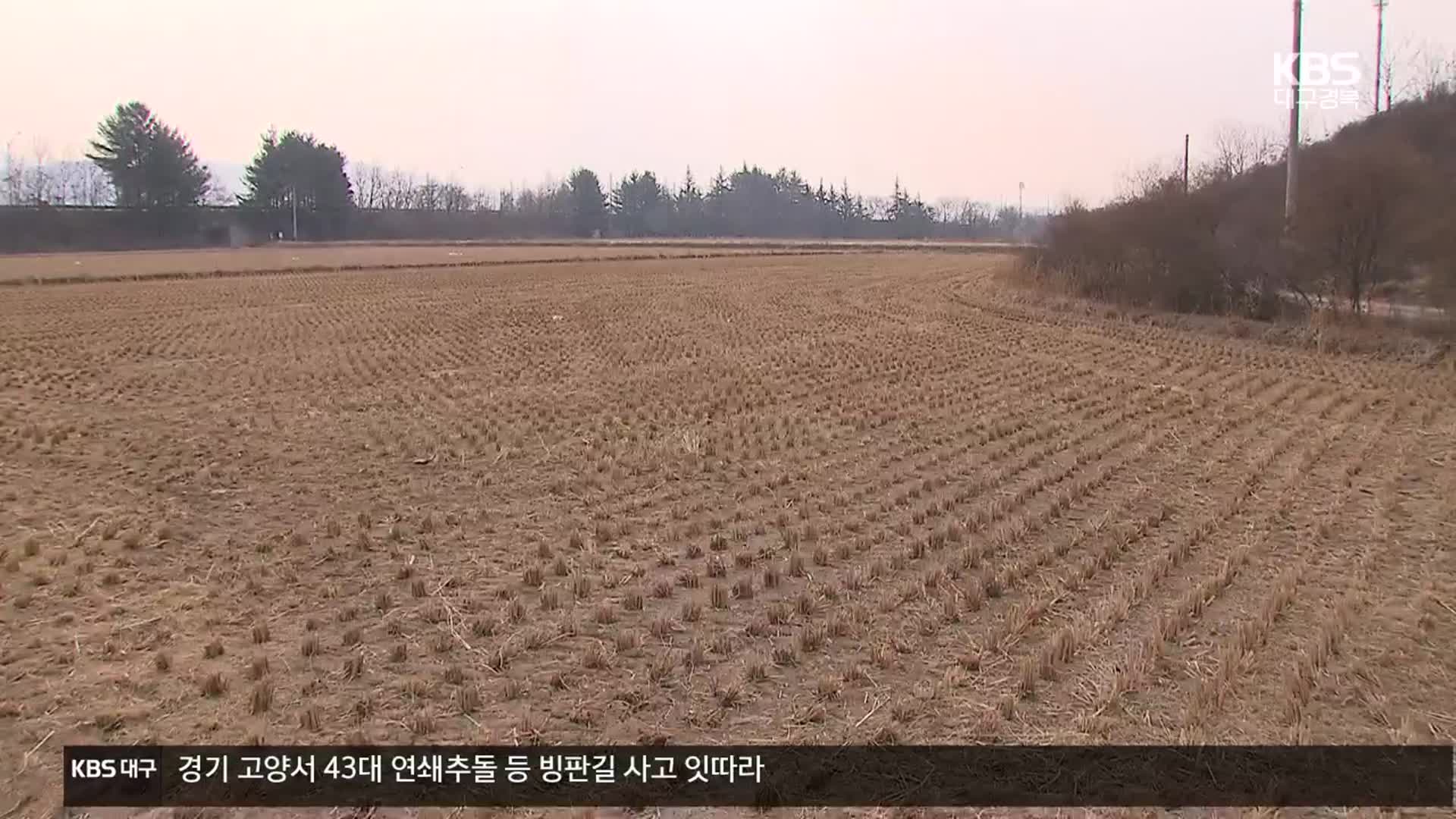 정부, 대규모 벼 재배면적 감축 추진…농민 ‘반발’