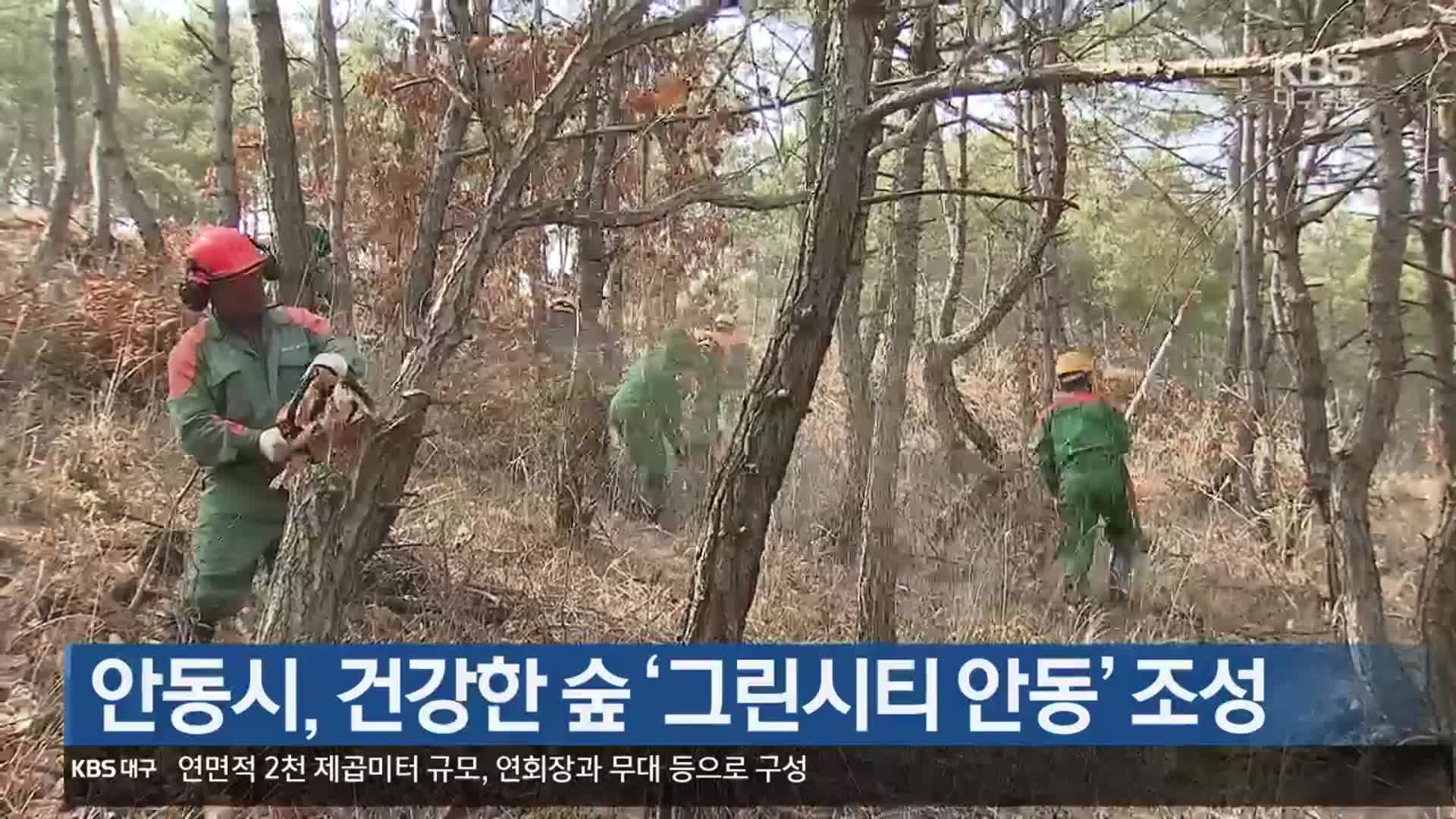 [여기는 안동] 안동시, 건강한 숲 ‘그린시티 안동’ 조성 외