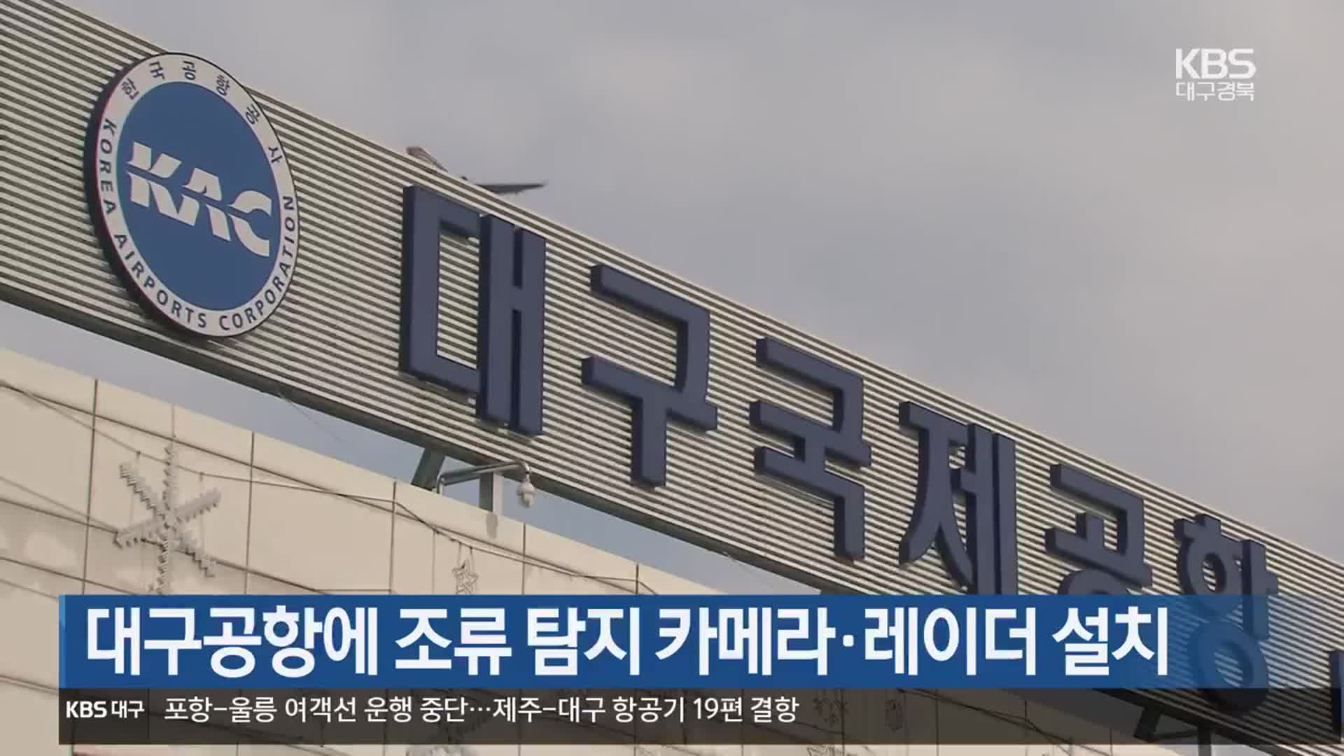 대구공항에 조류 탐지 카메라·레이더 설치