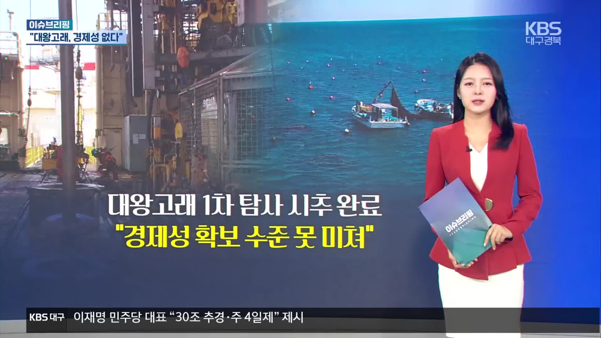 [이슈브리핑] “대왕고래, 경제성 없다” 외