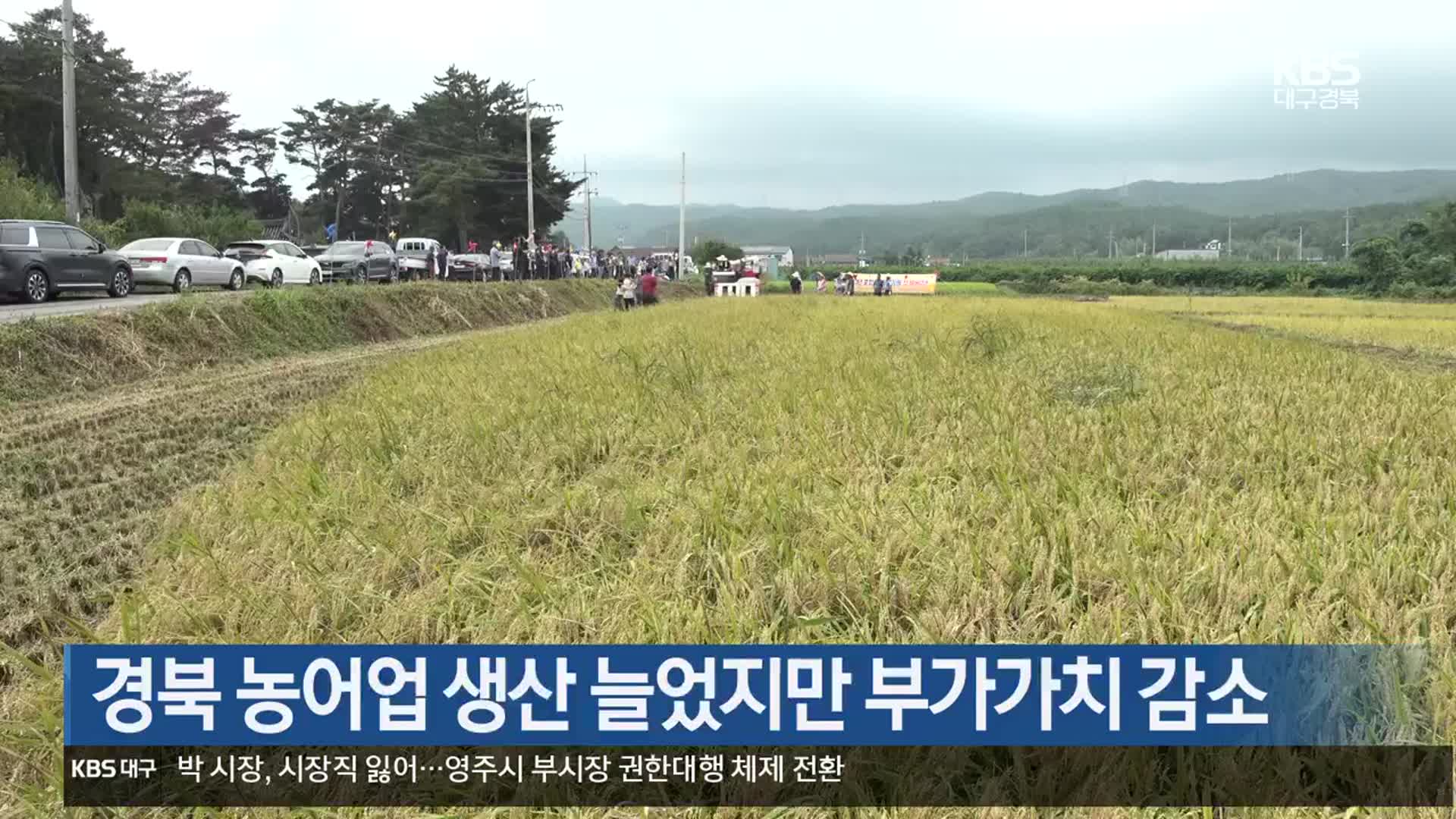 경북 농어업 생산 늘었지만 부가가치 감소