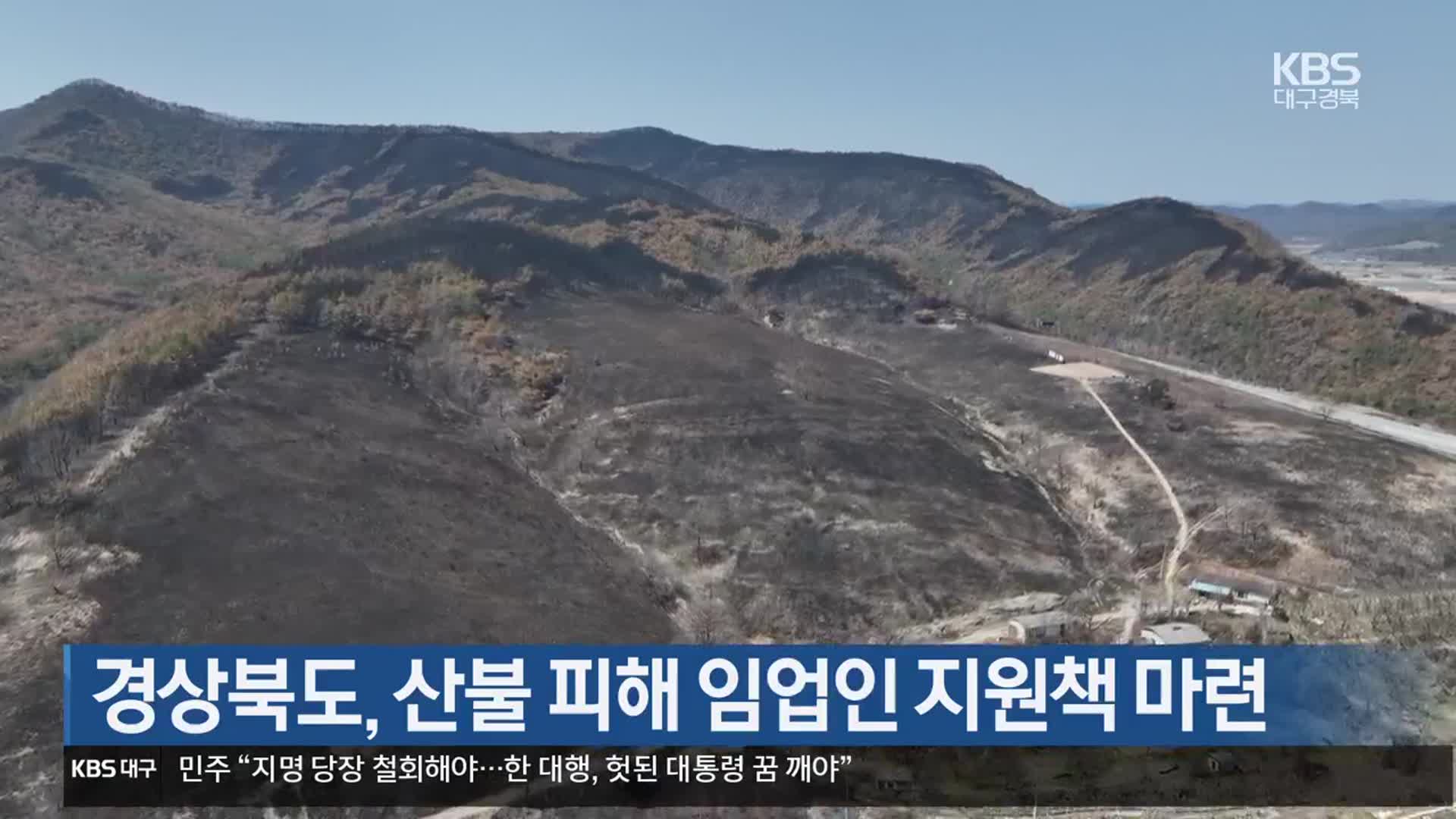 경상북도, 산불 피해 임업인 지원책 마련