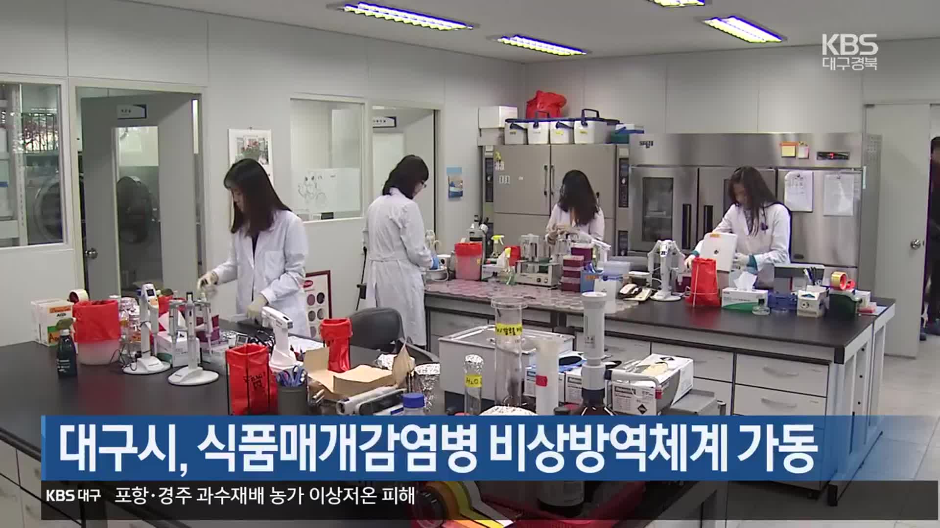대구시, 식품매개감염병 비상방역체계 가동