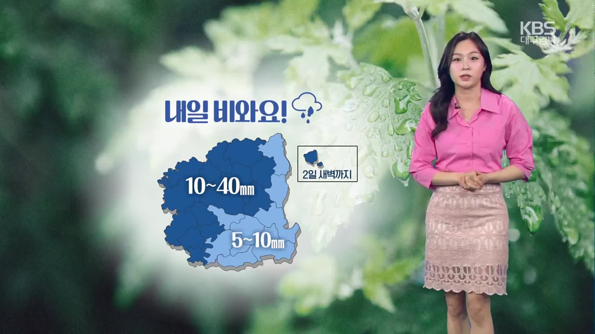 [날씨] 대구·경북 내일 오후부터 최대 40mm 비…강풍 주의!