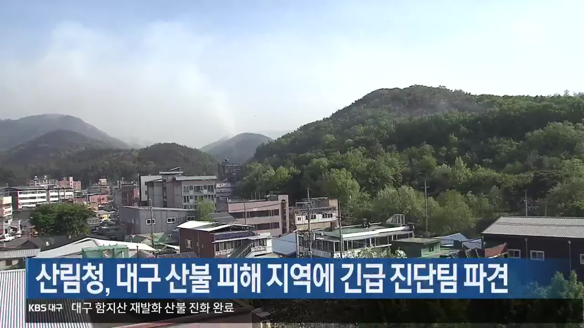 산림청, 대구 산불 피해 지역에 긴급 진단팀 파견