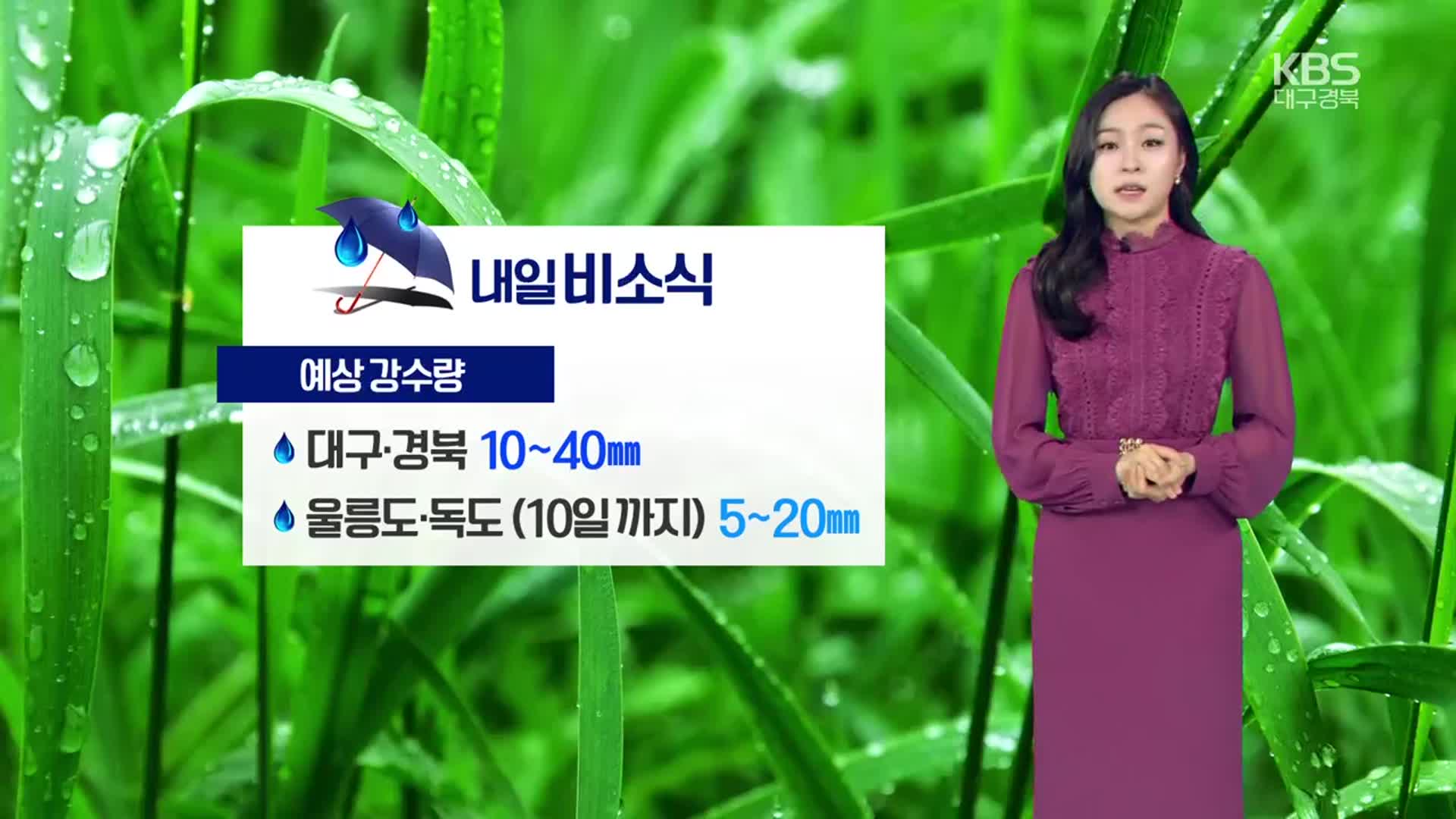 [날씨] 대구·경북 밤부터 차차 흐려져…내일 종일 비, 강한 바람 유의