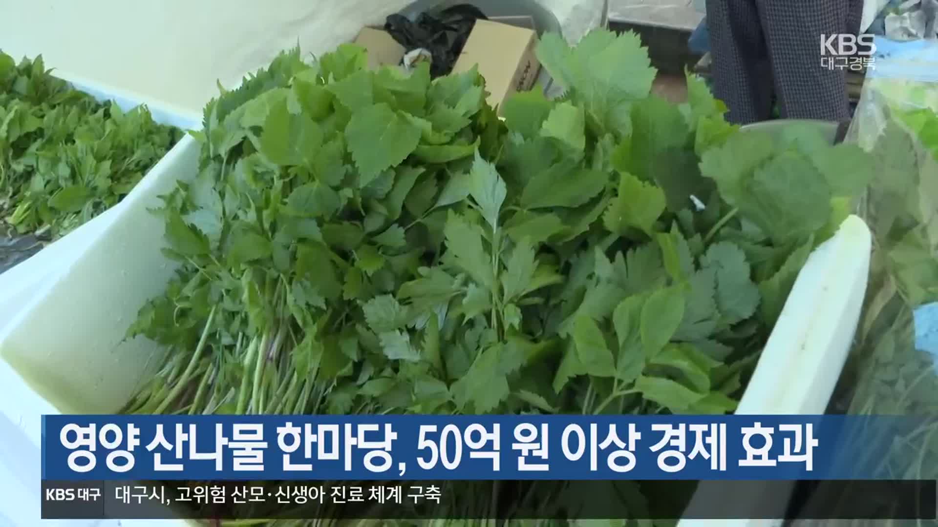 [여기는 안동] 영양 산나물 한마당, 50억 원 이상 경제 효과 외