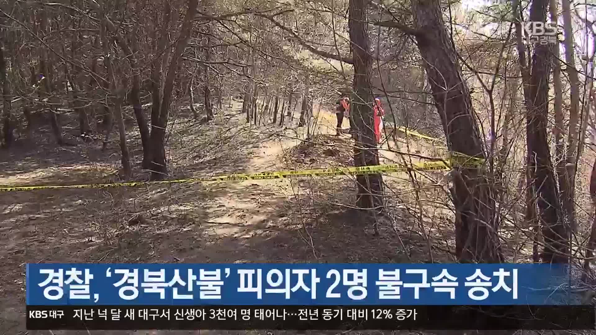 경찰, ‘경북산불’ 피의자 2명 불구속 송치
