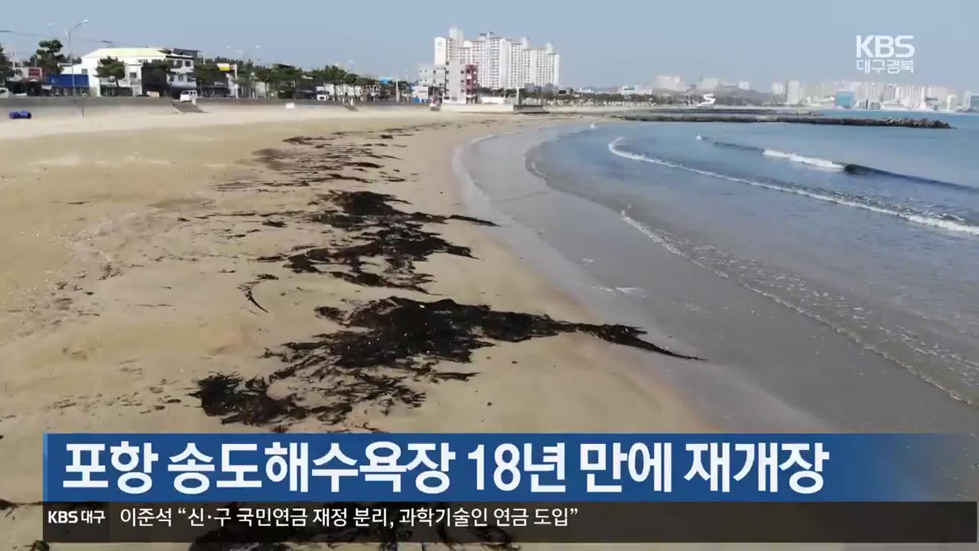 [여기는 포항] 포항 송도해수욕장 18년 만에 재개장 외